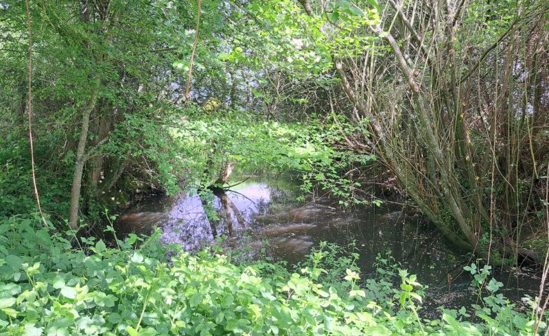 Miniature photo - 13 / 13