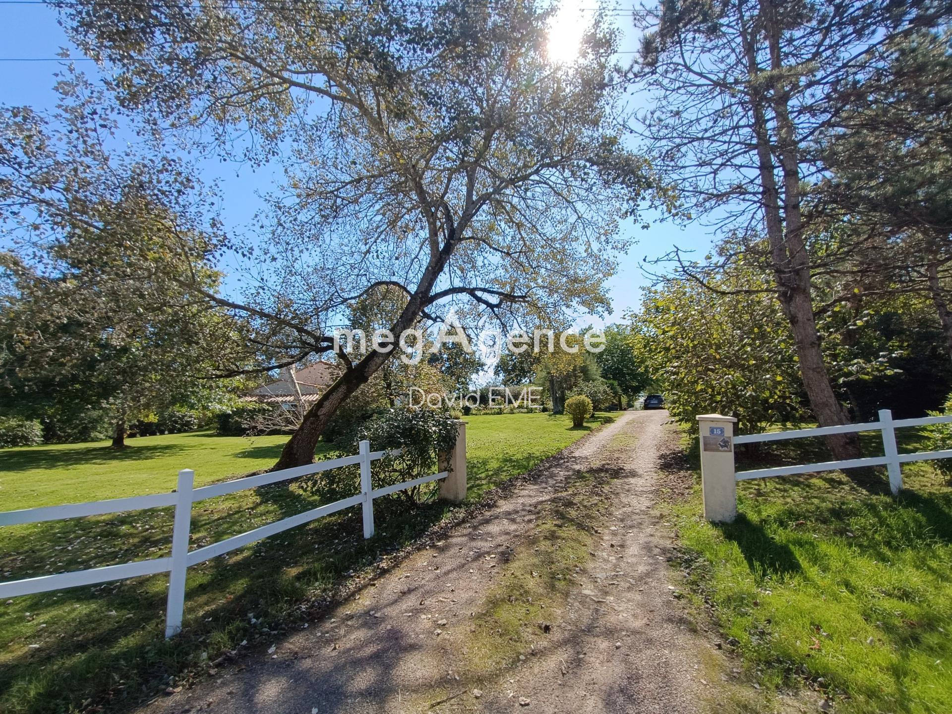 Miniature photo - 18 / 18