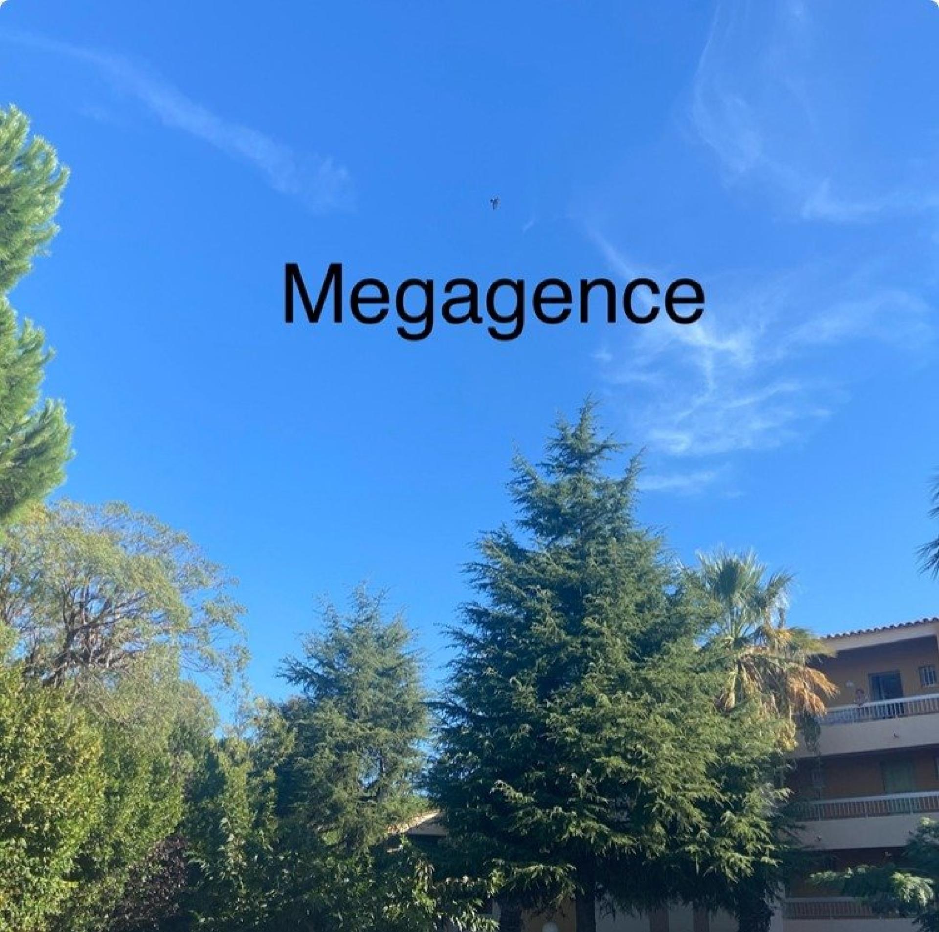 Miniature photo - 2 / 7