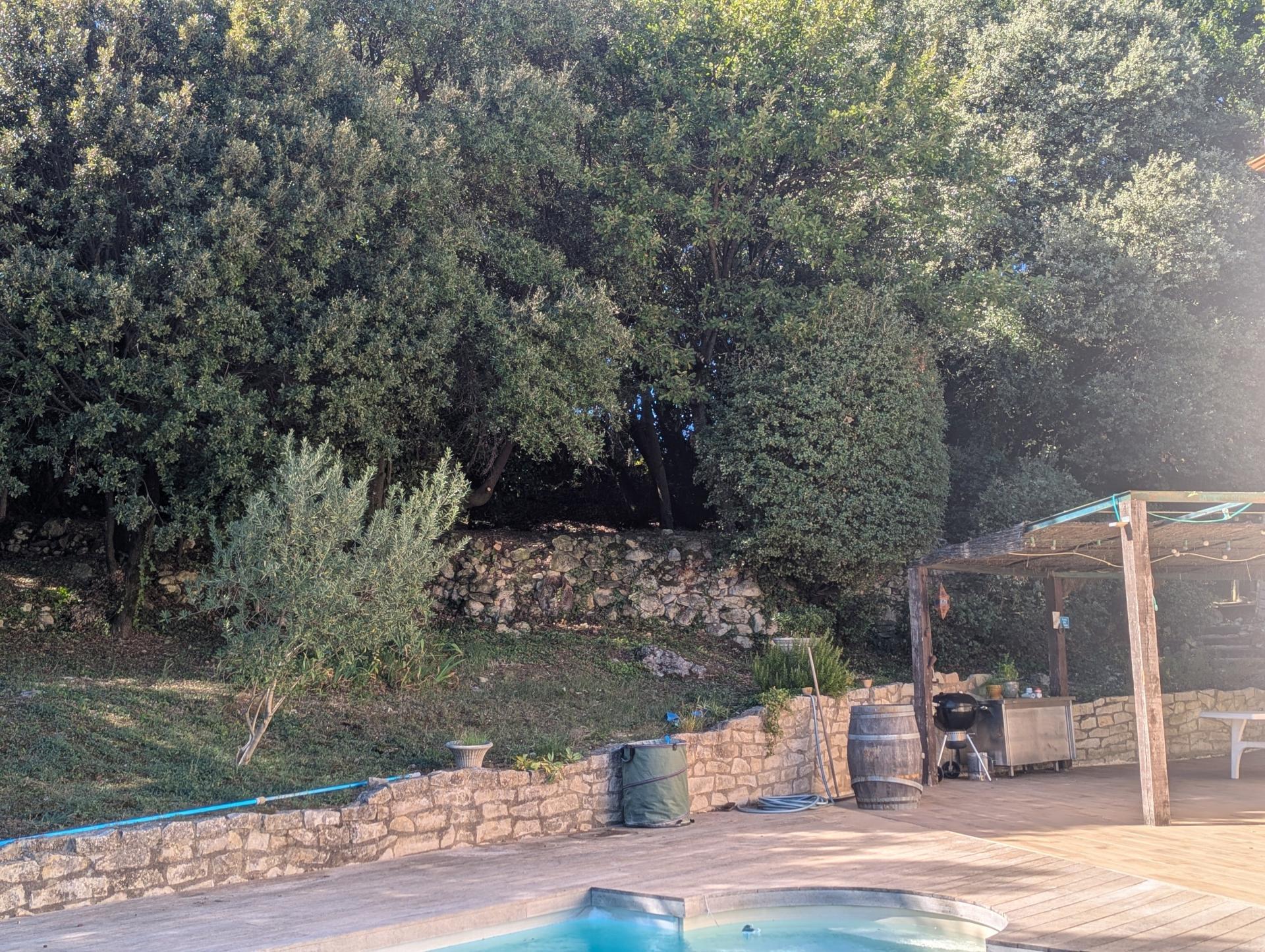 Miniature photo - 6 / 8