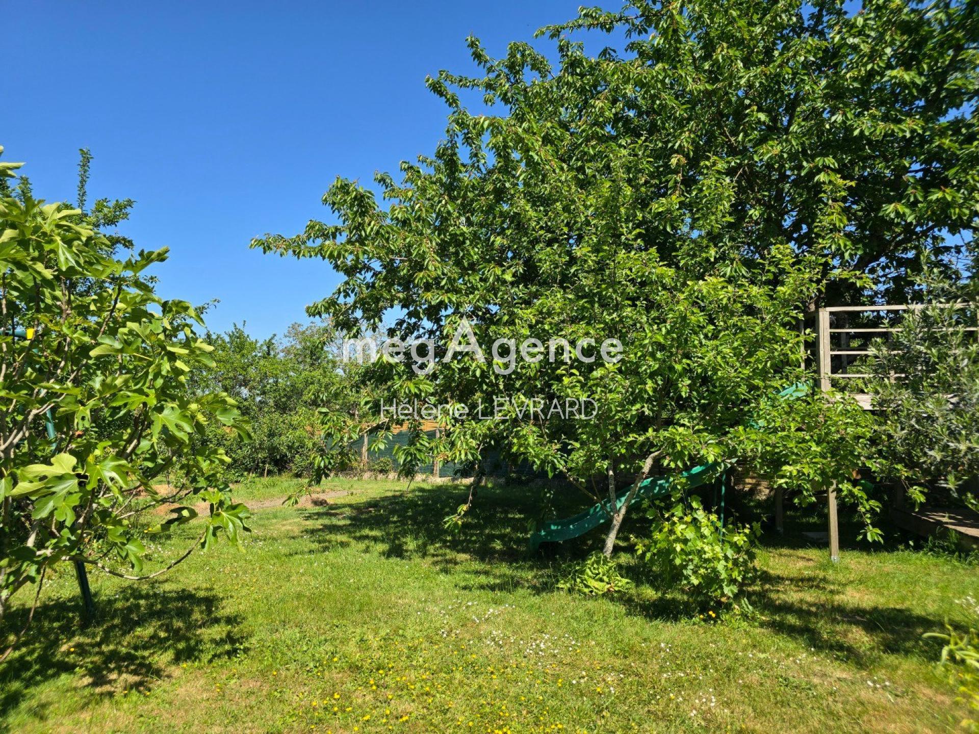 Miniature photo - 11 / 11