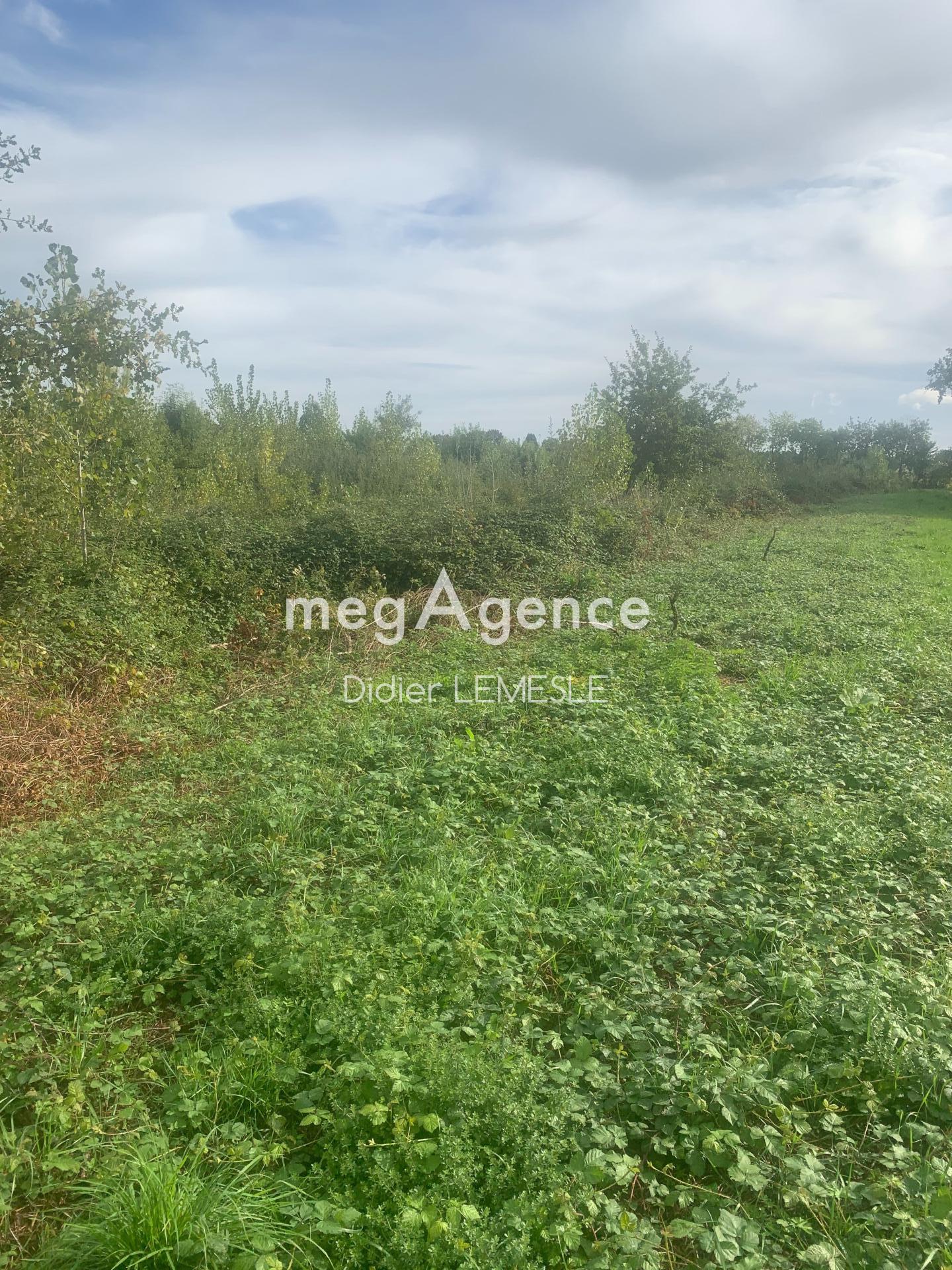 Miniature photo - 4 / 5