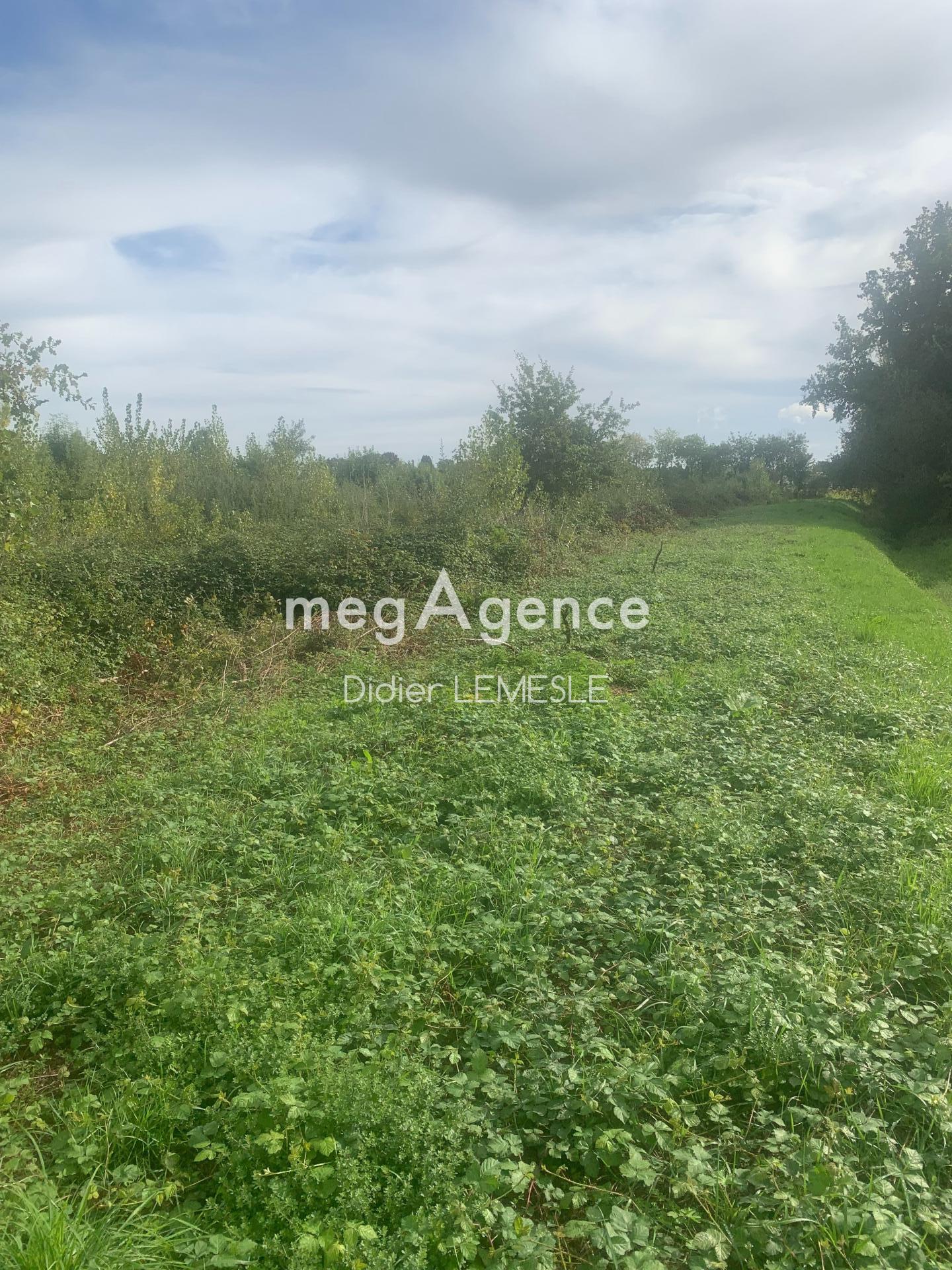 Miniature photo - 5 / 5