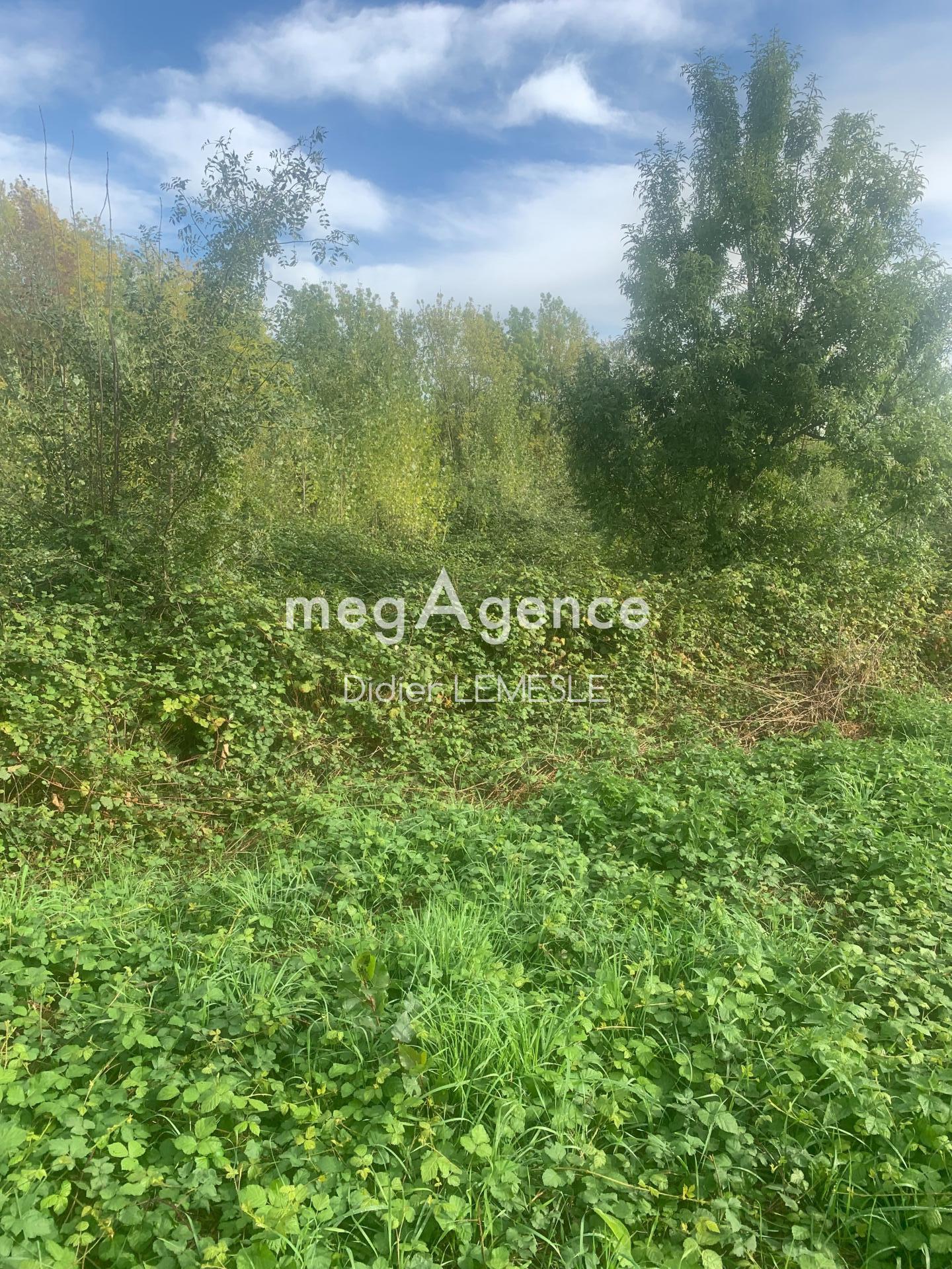 Miniature photo - 2 / 5