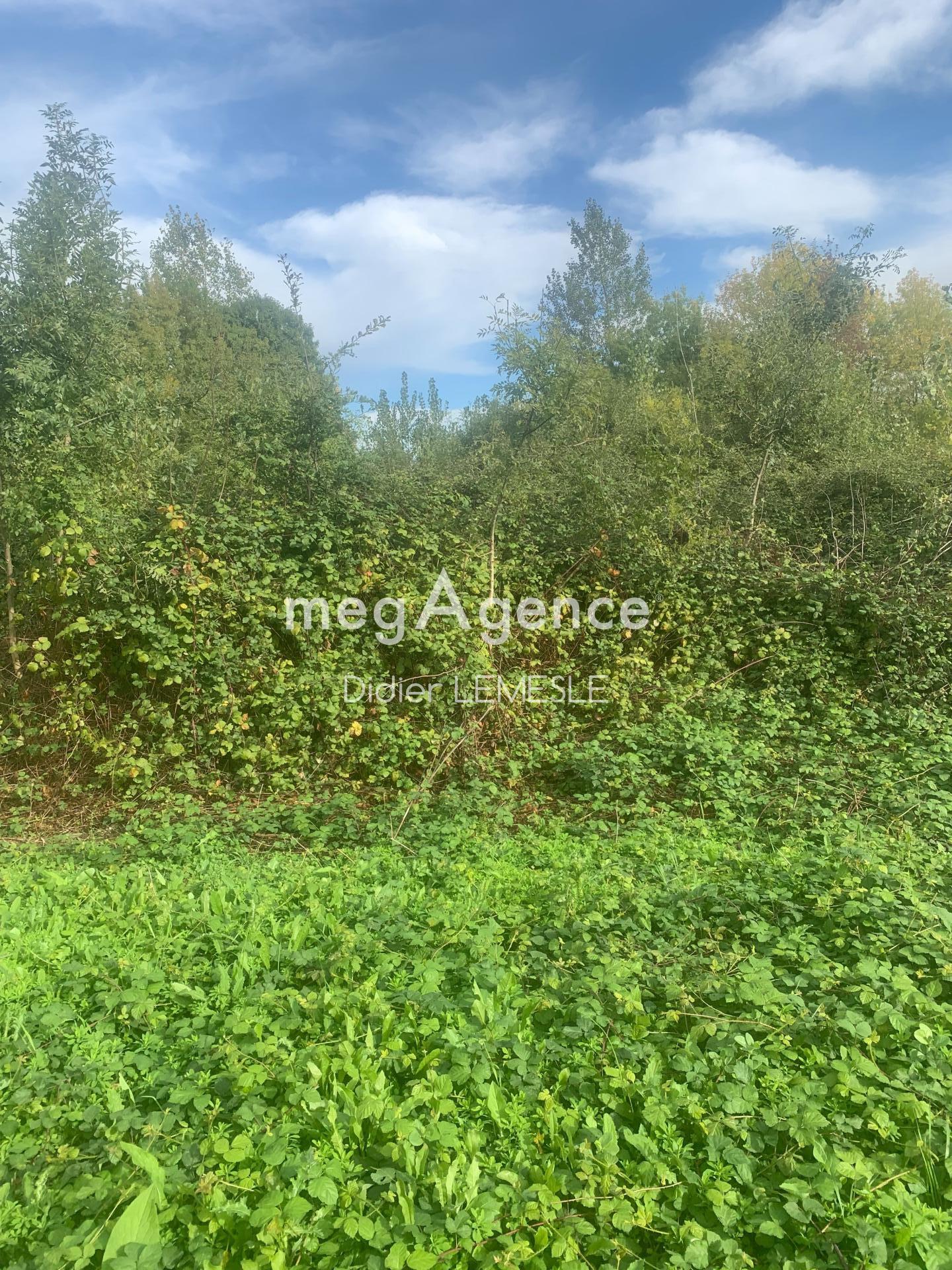 Photographie descriptive du bien