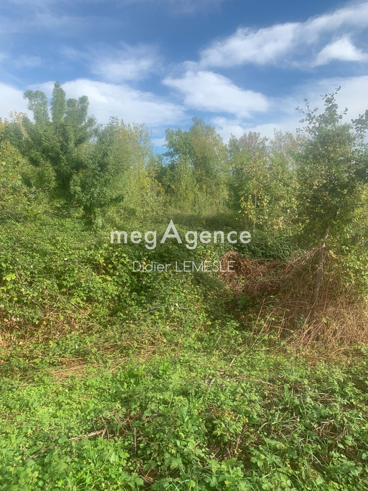 Miniature photo - 3 / 5