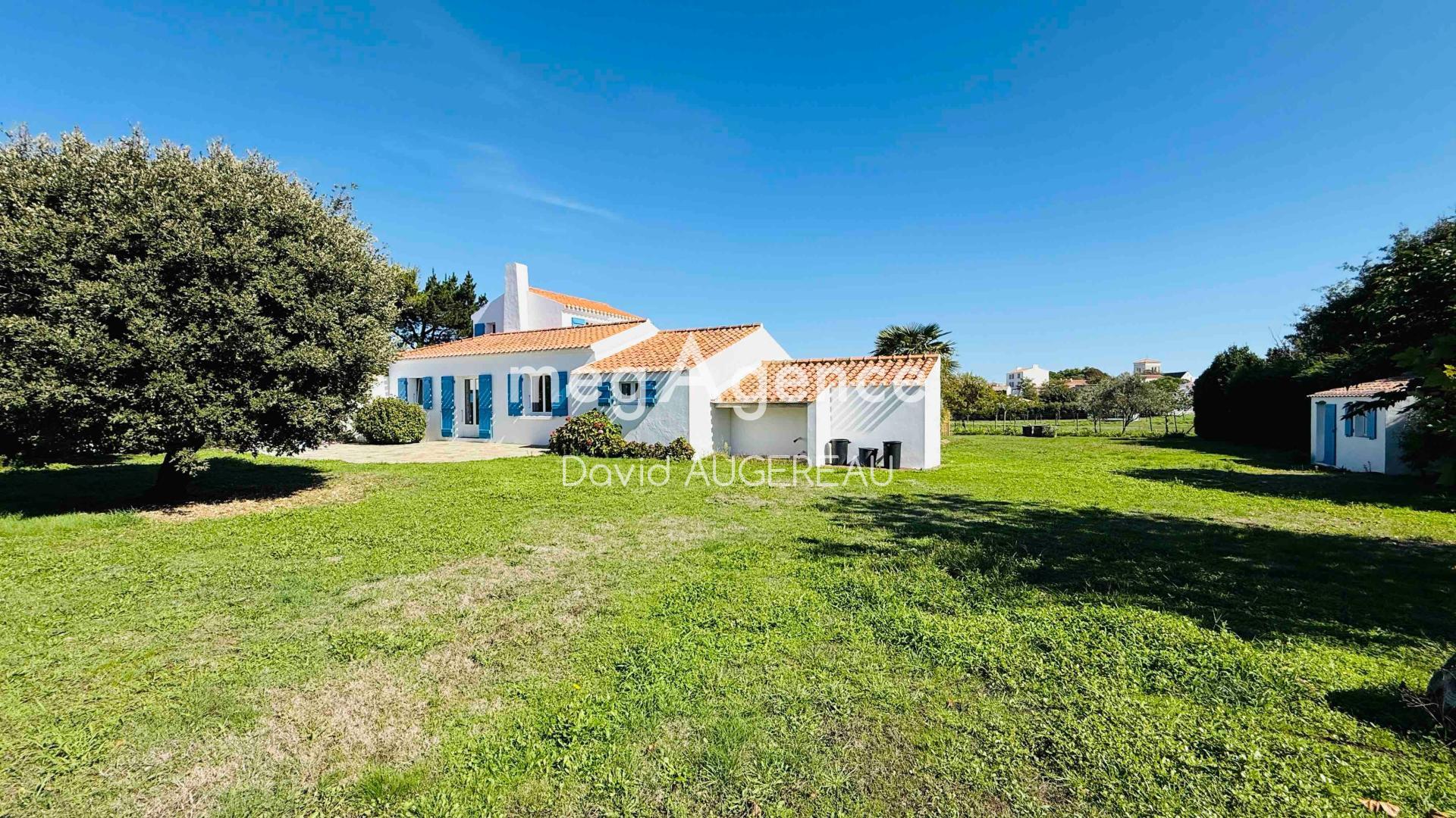 Miniature photo - 4 / 14