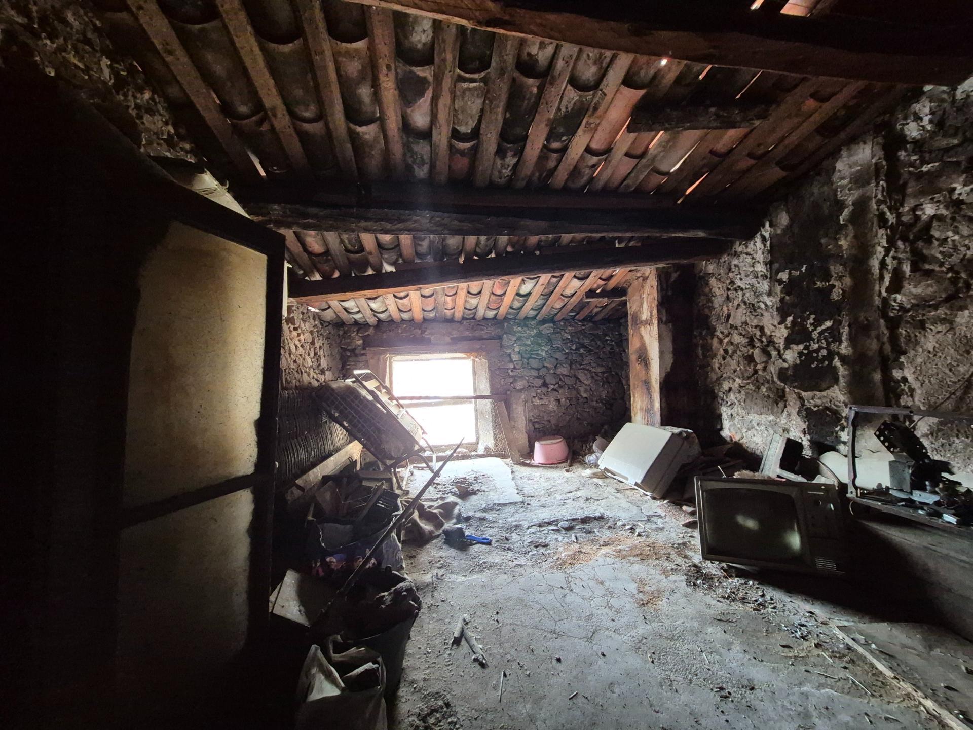 Miniature photo - 6 / 6