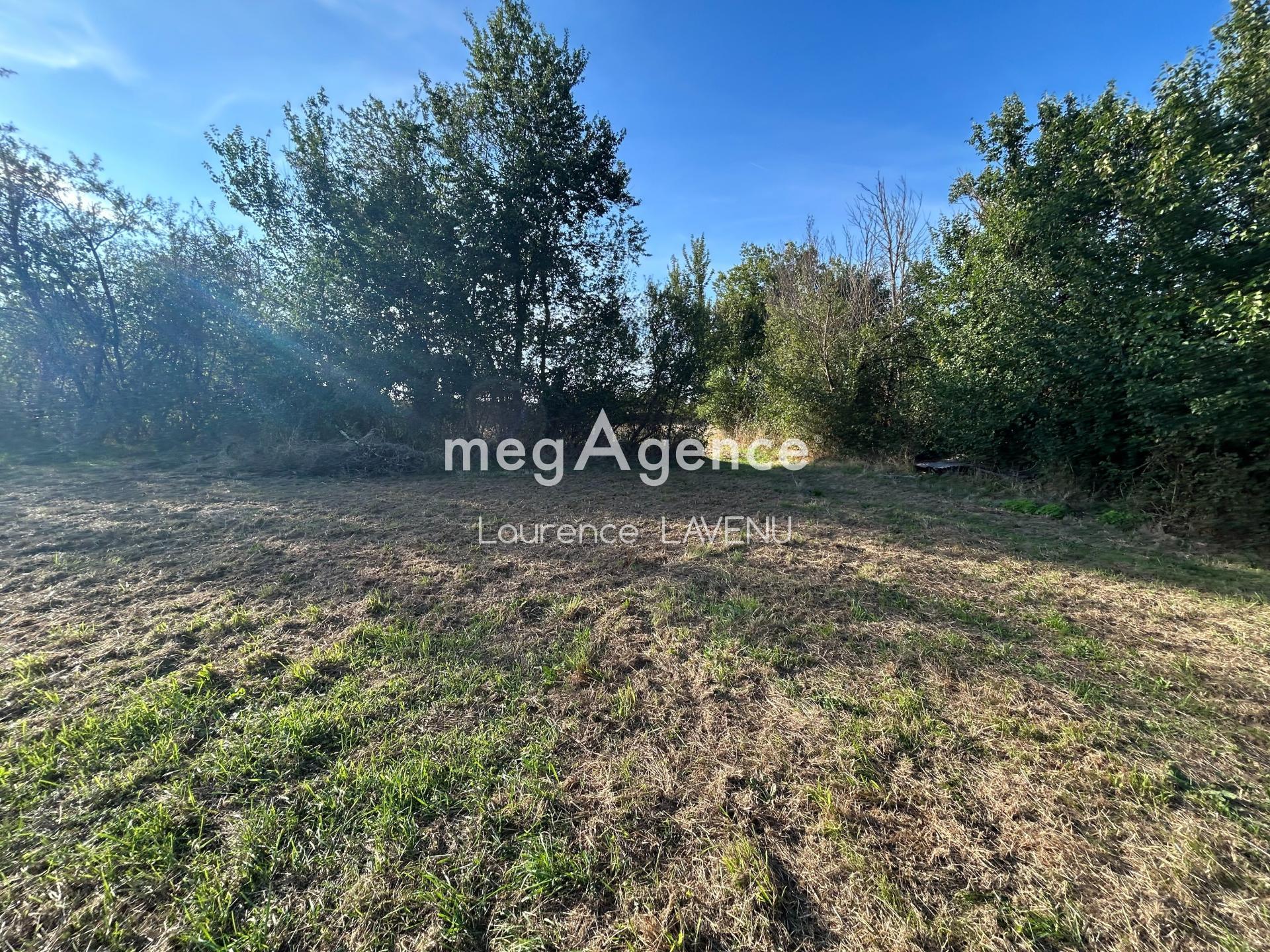 Miniature photo - 4 / 10