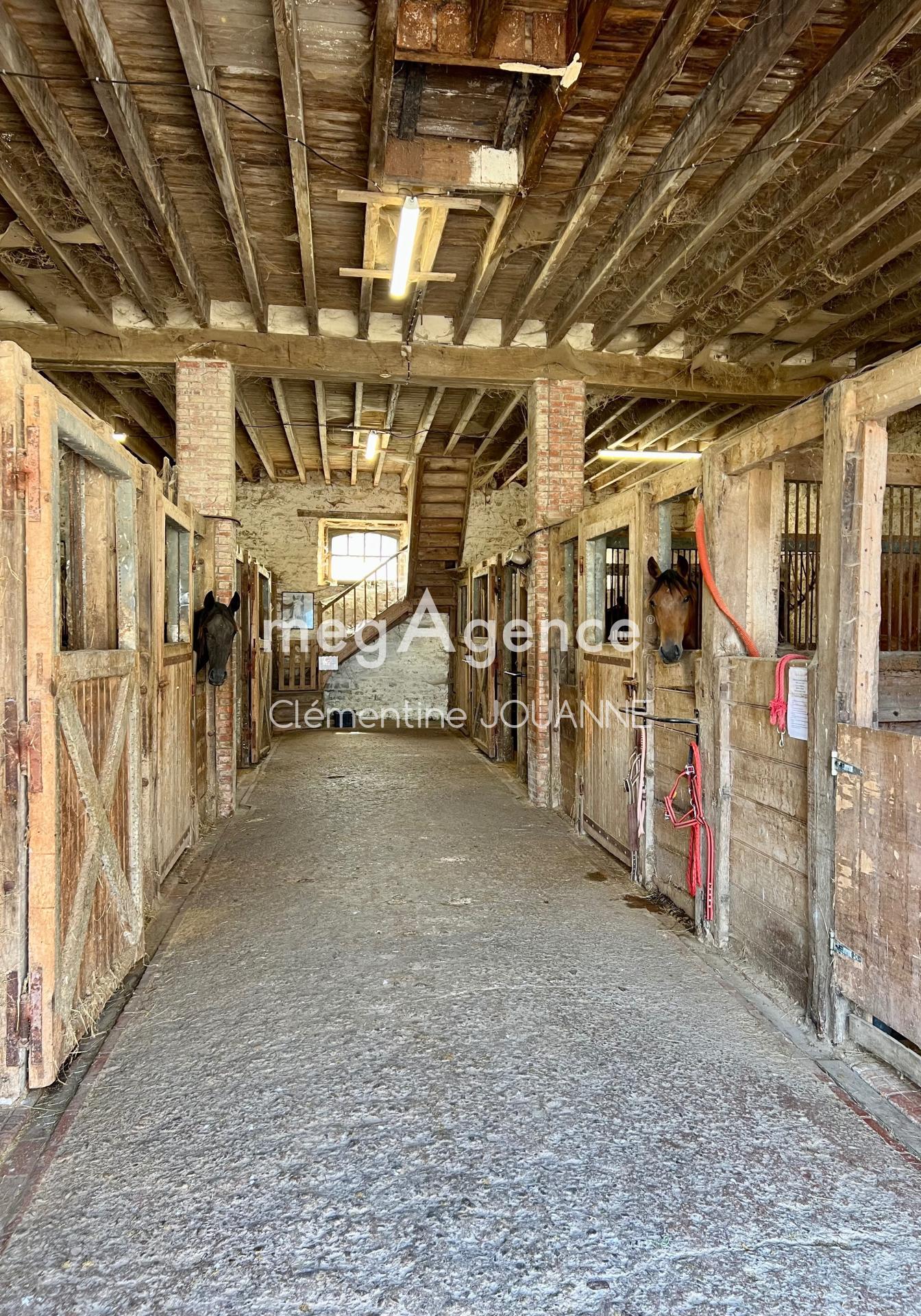 Miniature photo - 6 / 9