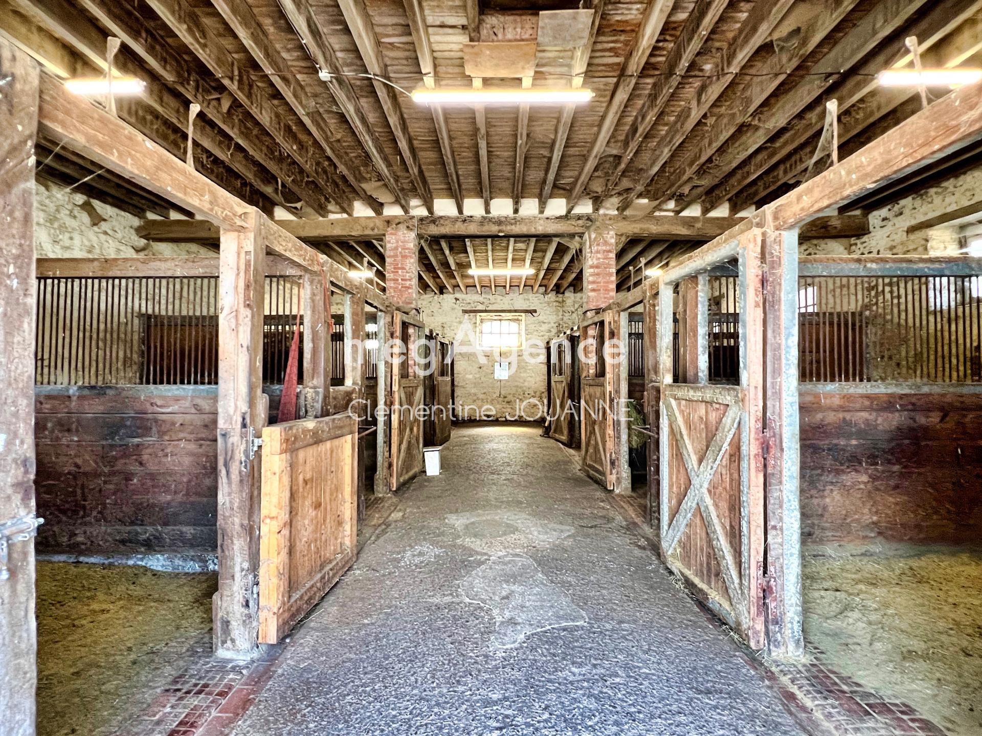 Miniature photo - 7 / 9