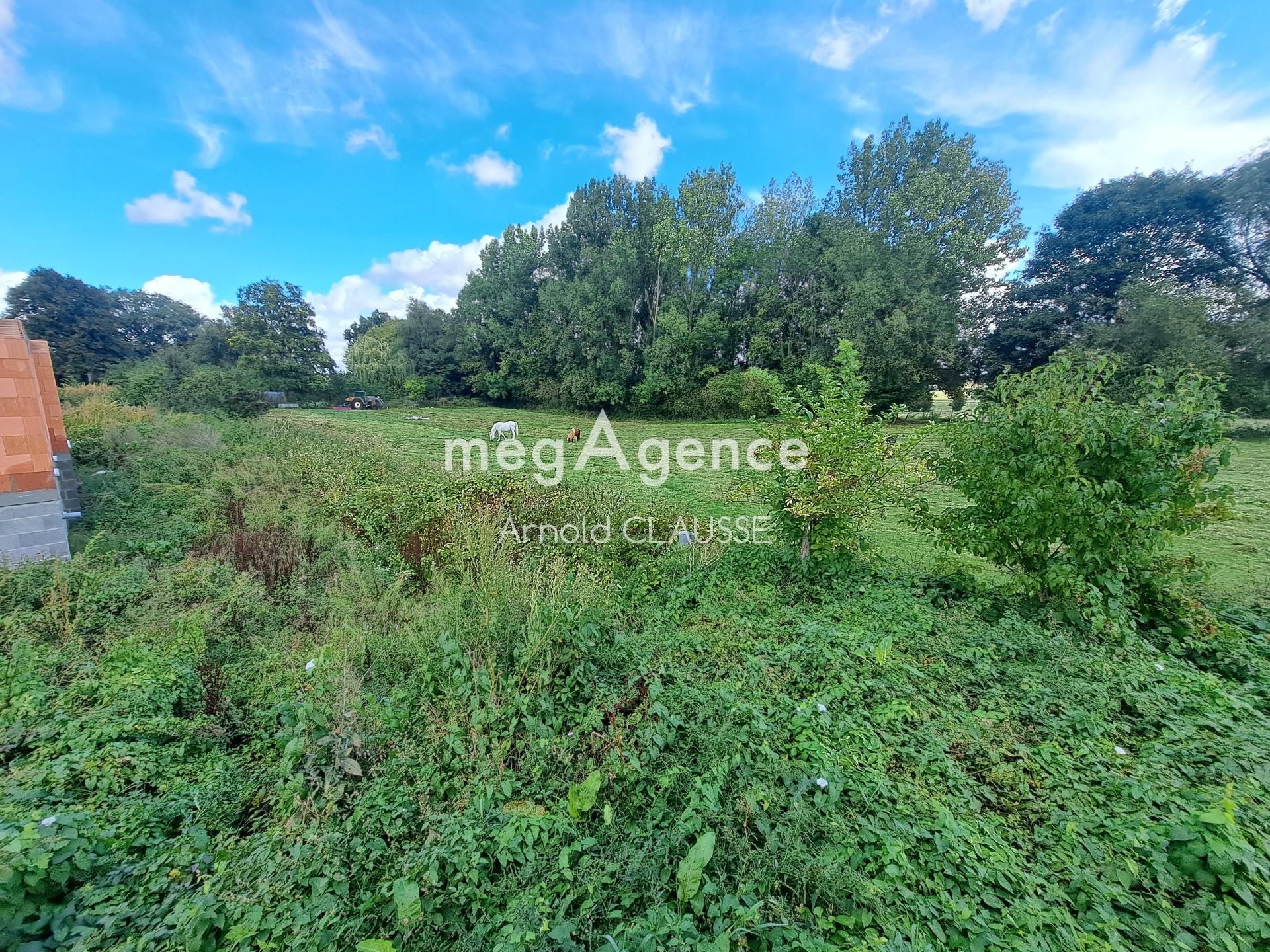 Miniature photo - 7 / 7