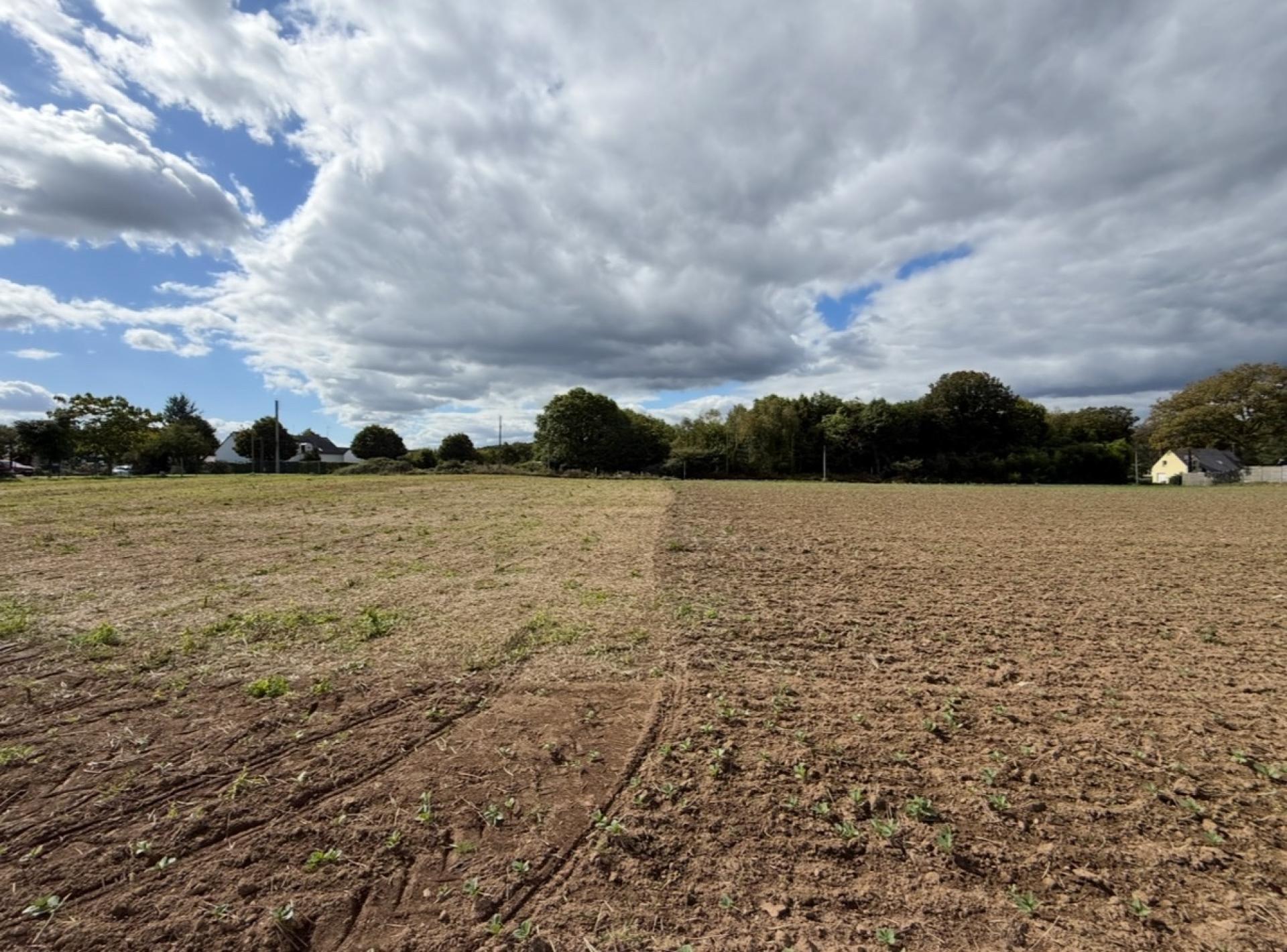 Miniature photo - 2 / 9