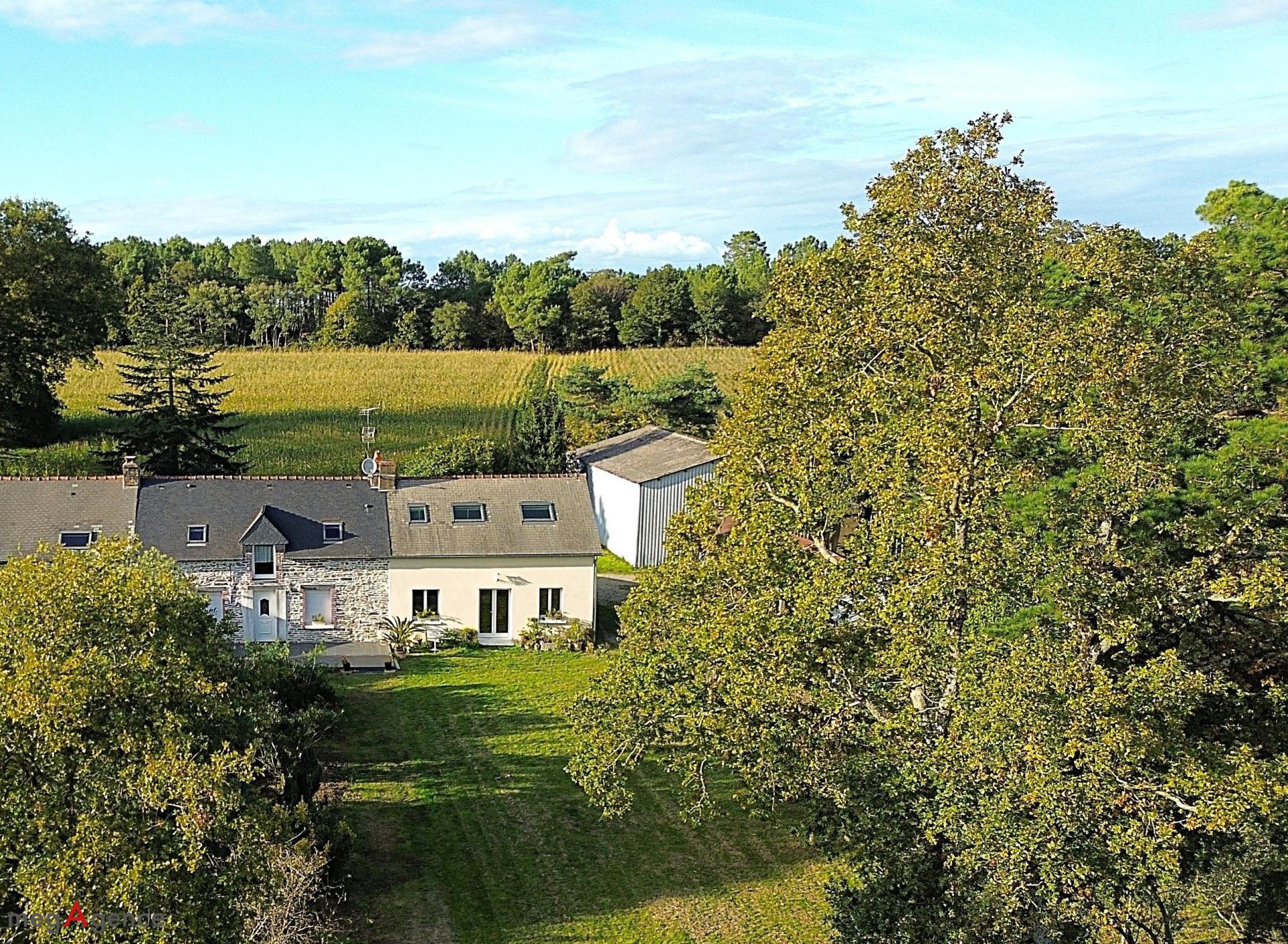 Miniature photo - 2 / 15