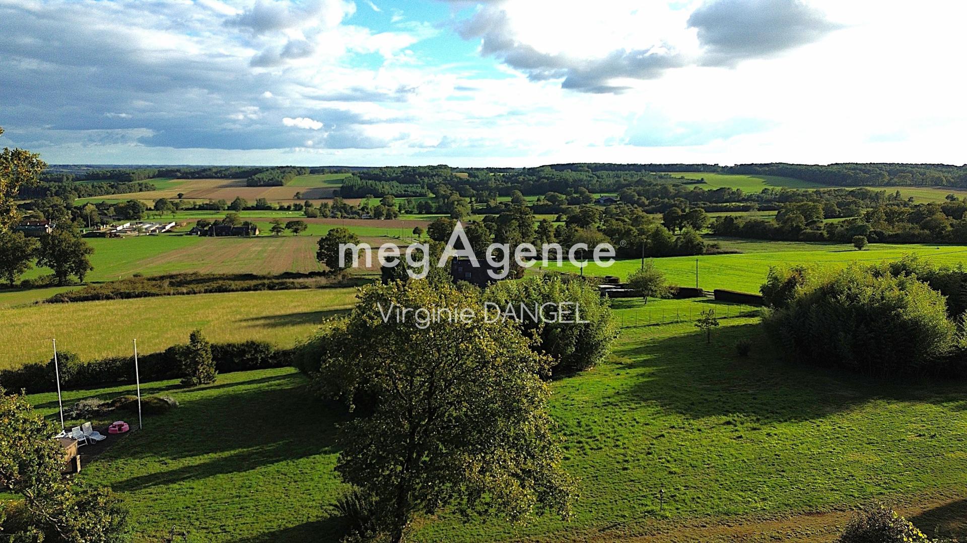 Miniature photo - 15 / 15