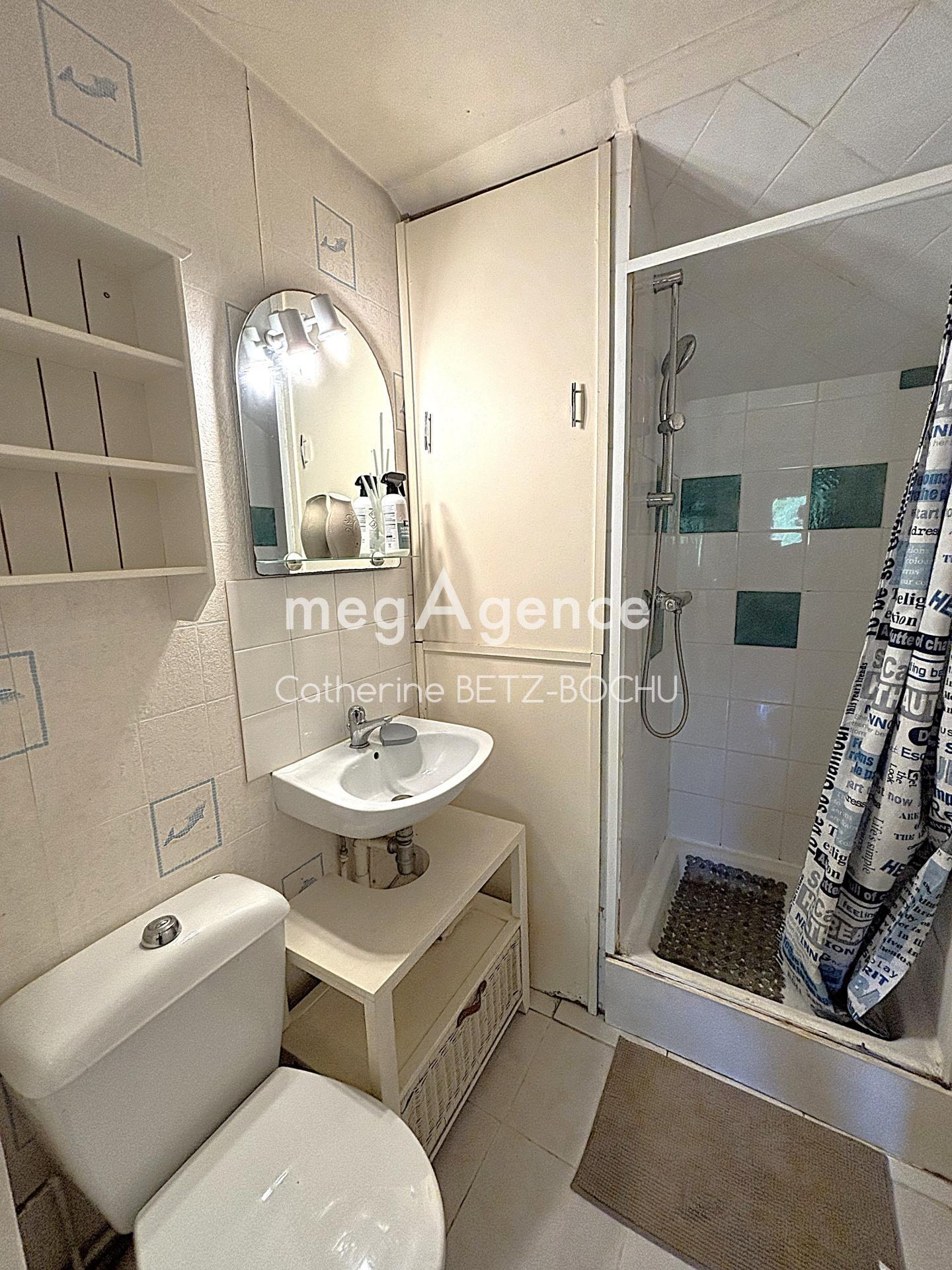 Miniature photo - 11 / 11