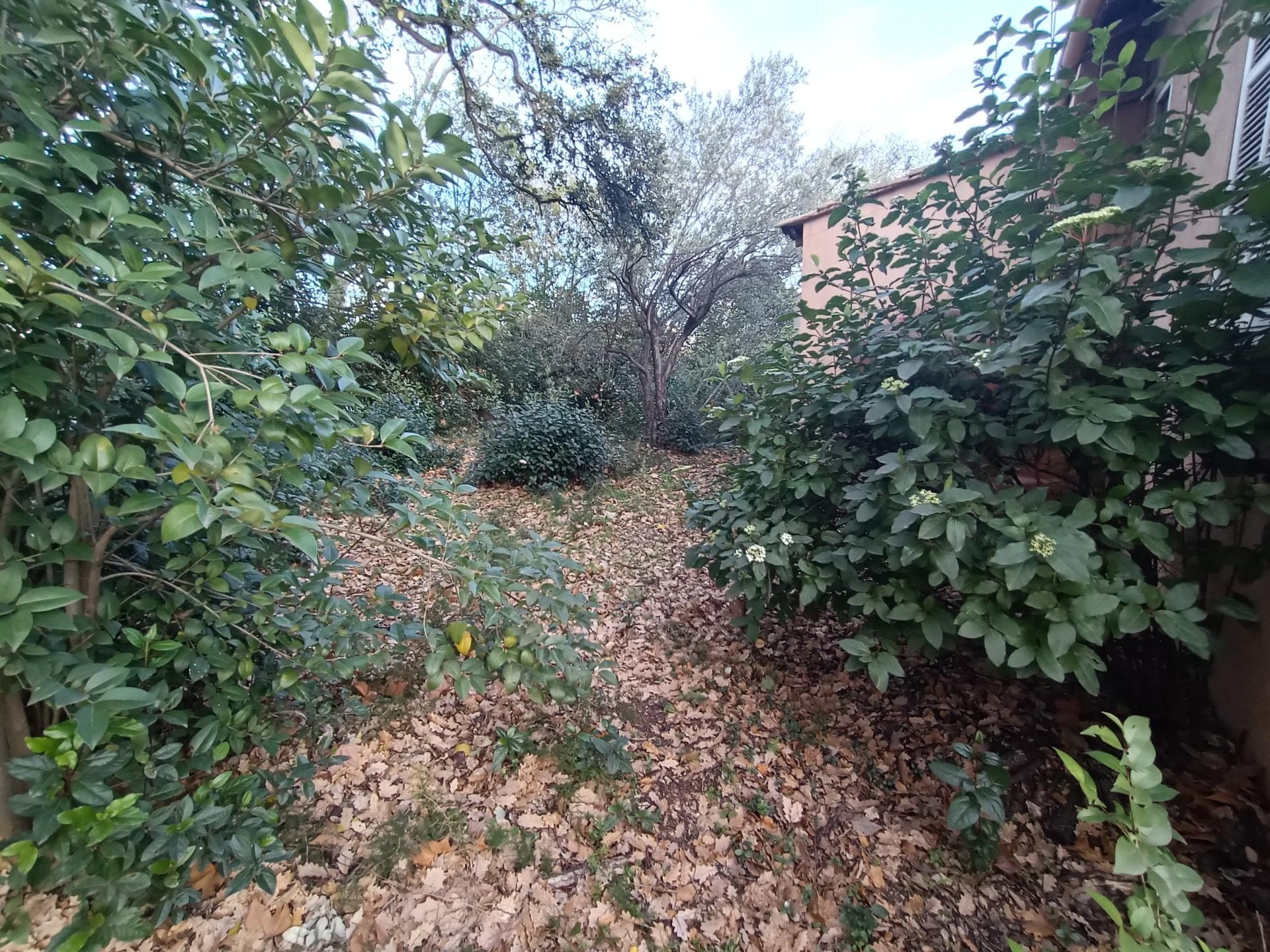 Miniature photo - 6 / 6