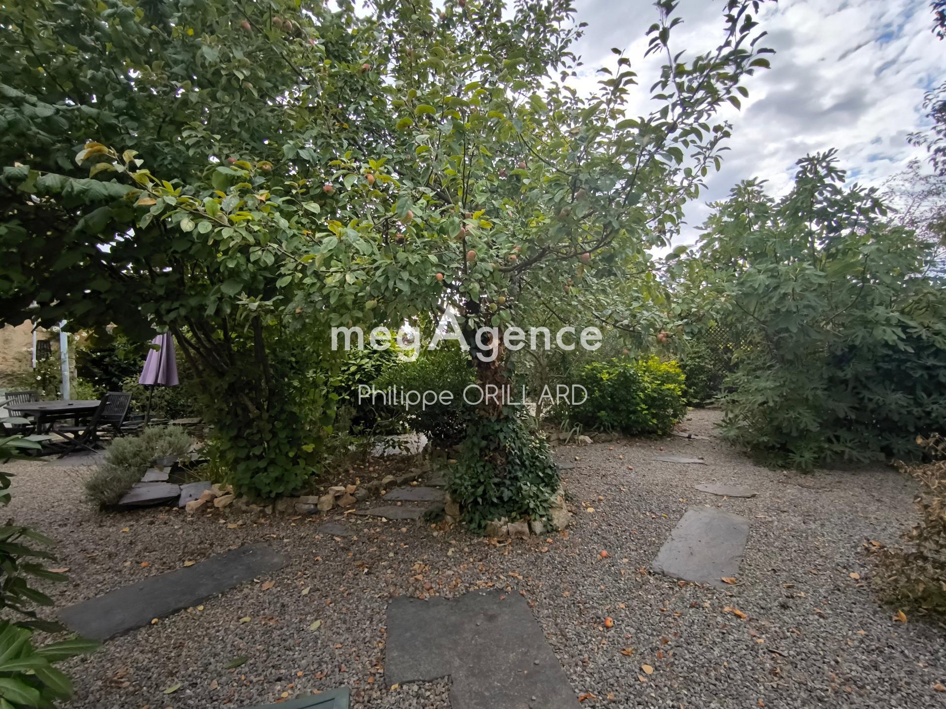 Miniature photo - 12 / 12