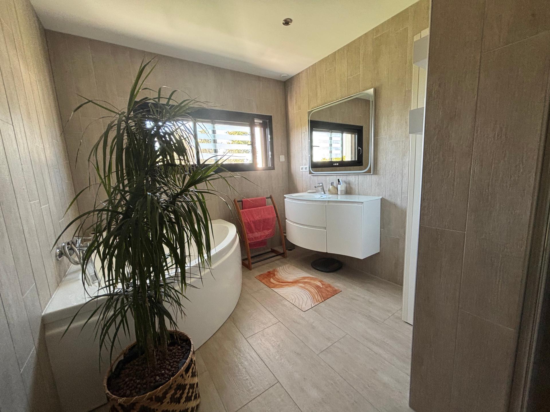 Miniature photo - 11 / 12