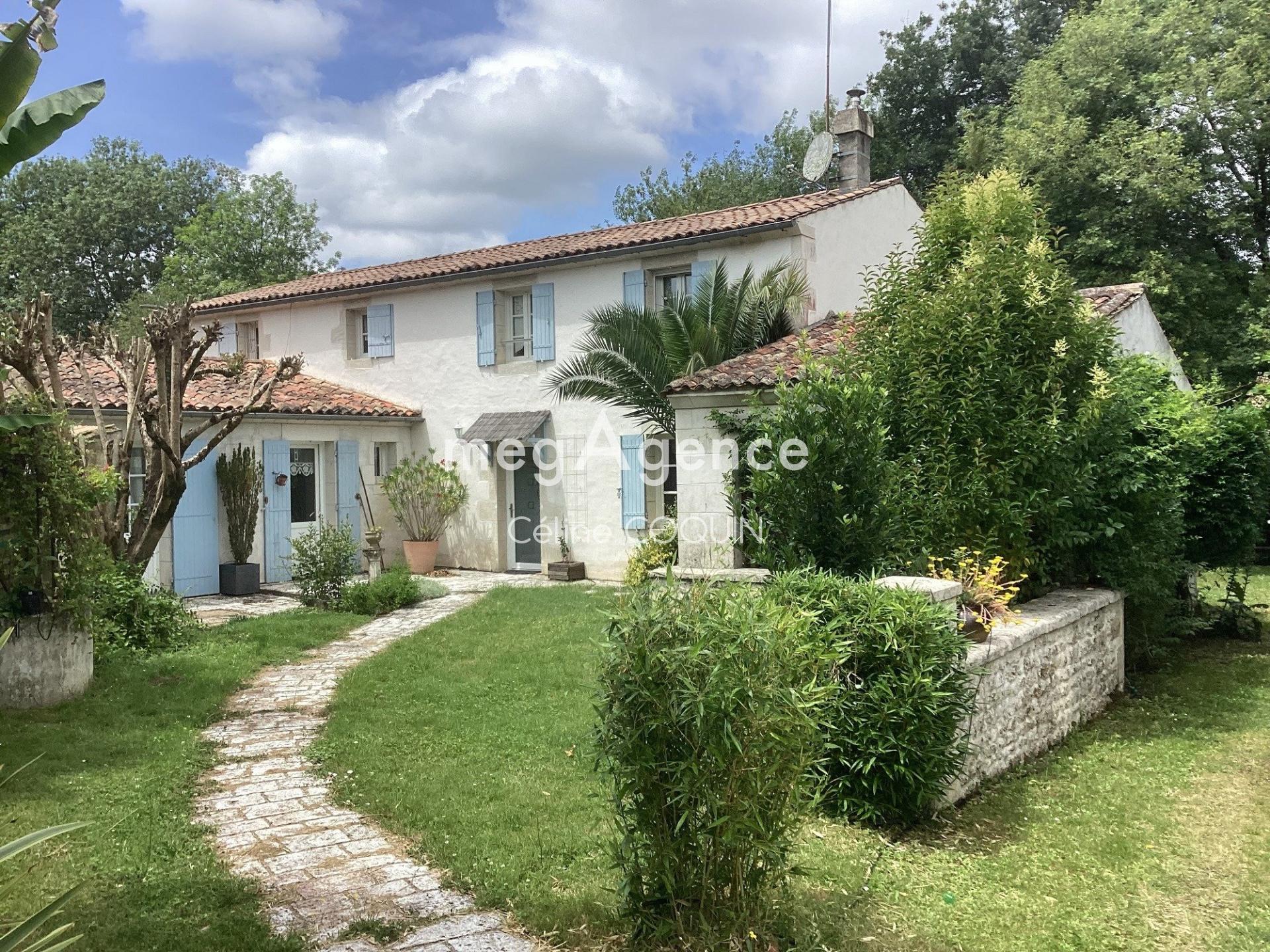 Miniature photo - 2 / 12