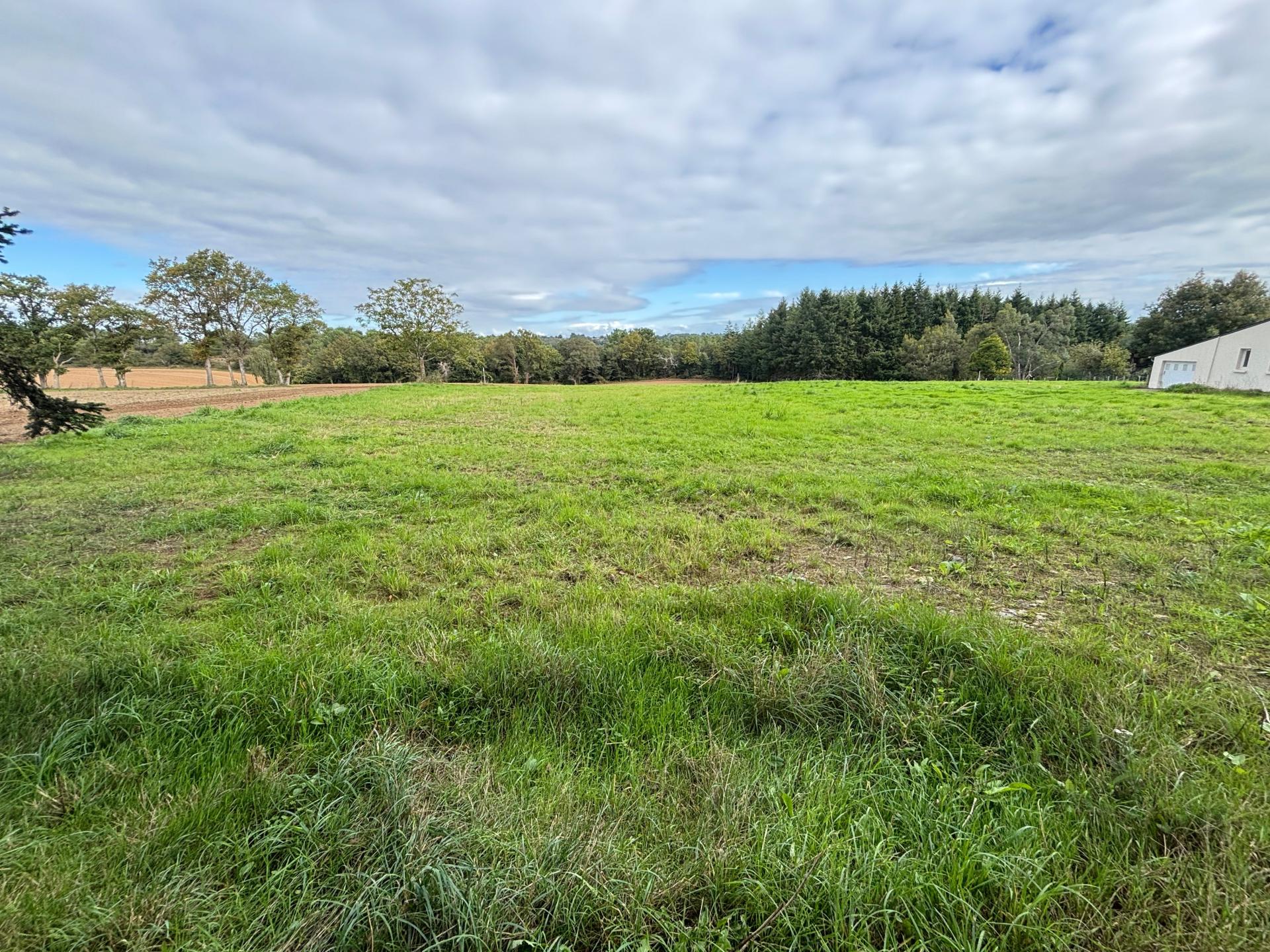 Photographie descriptive du bien