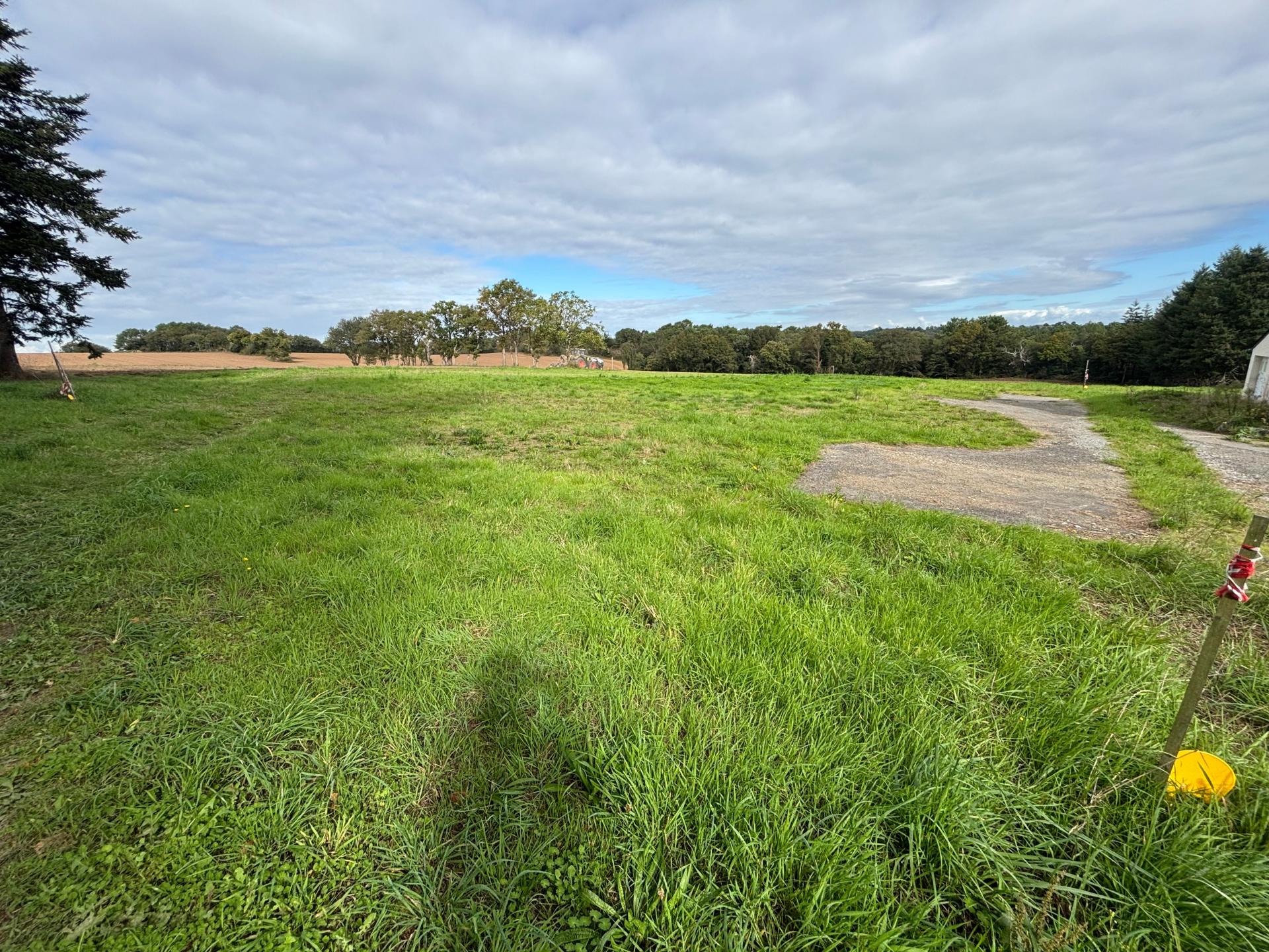 Miniature photo - 2 / 4