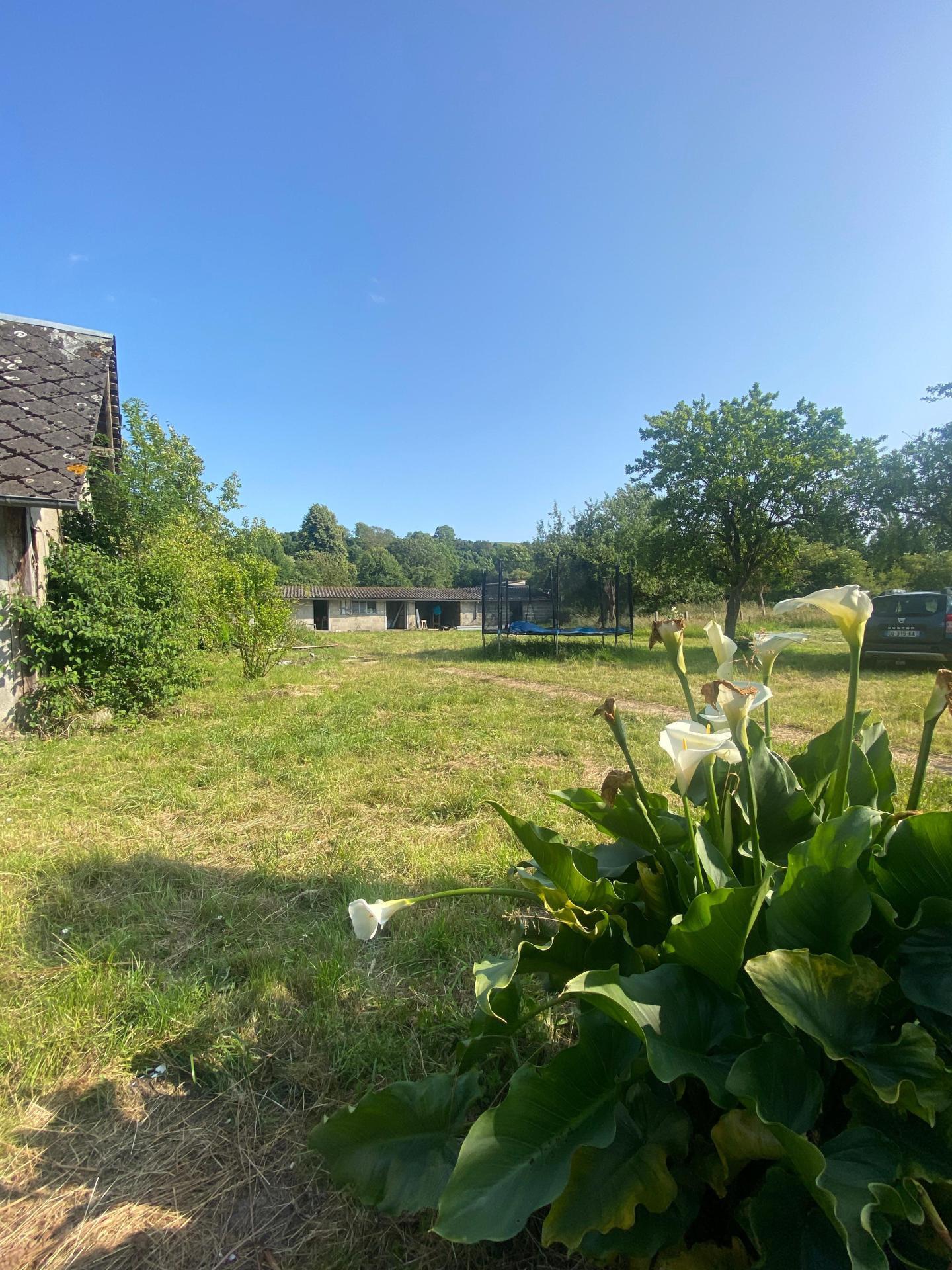 Miniature photo - 5 / 11