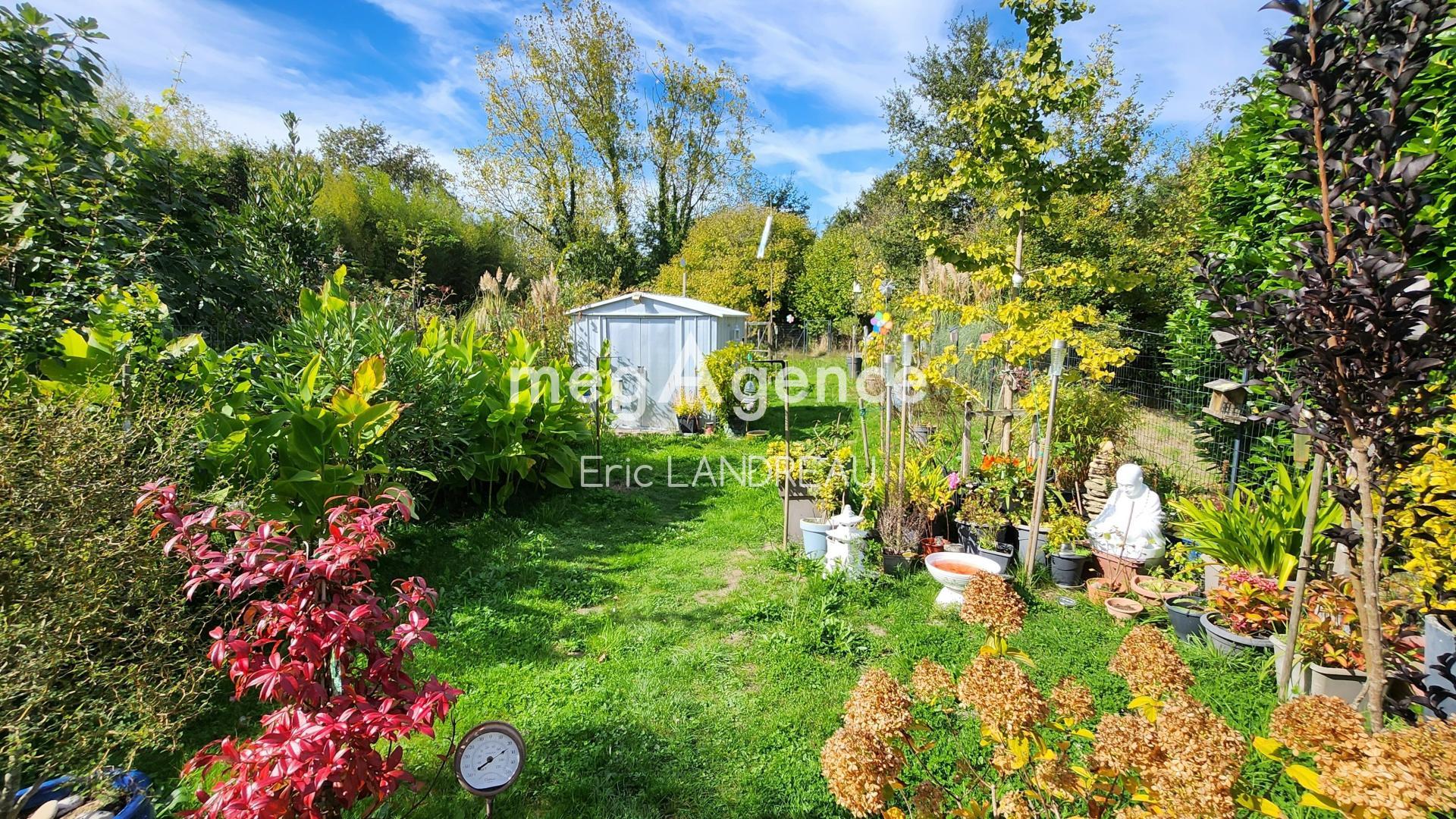 Miniature photo - 11 / 12