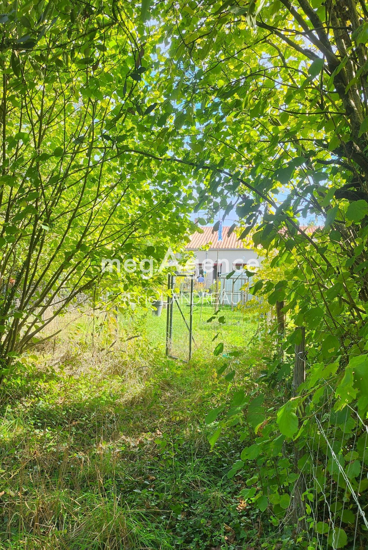 Miniature photo - 10 / 12