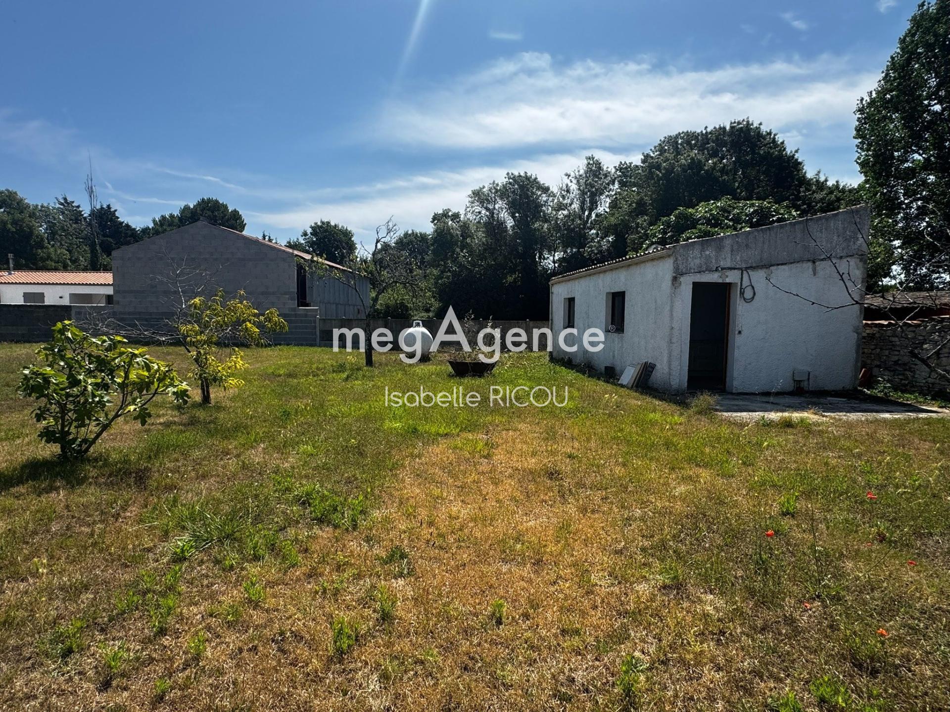 Miniature photo - 3 / 15