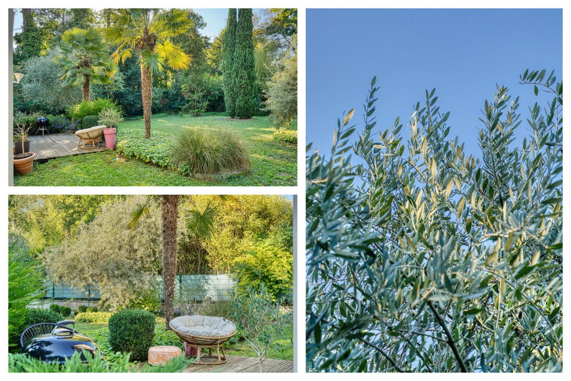 Miniature photo - 3 / 20