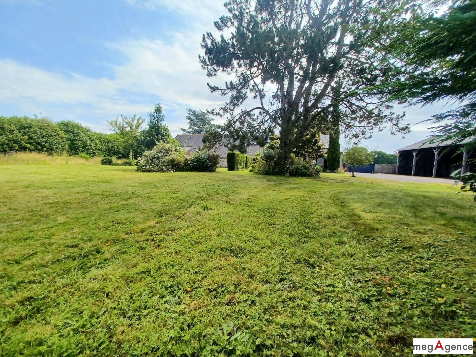 Miniature photo - 11 / 16