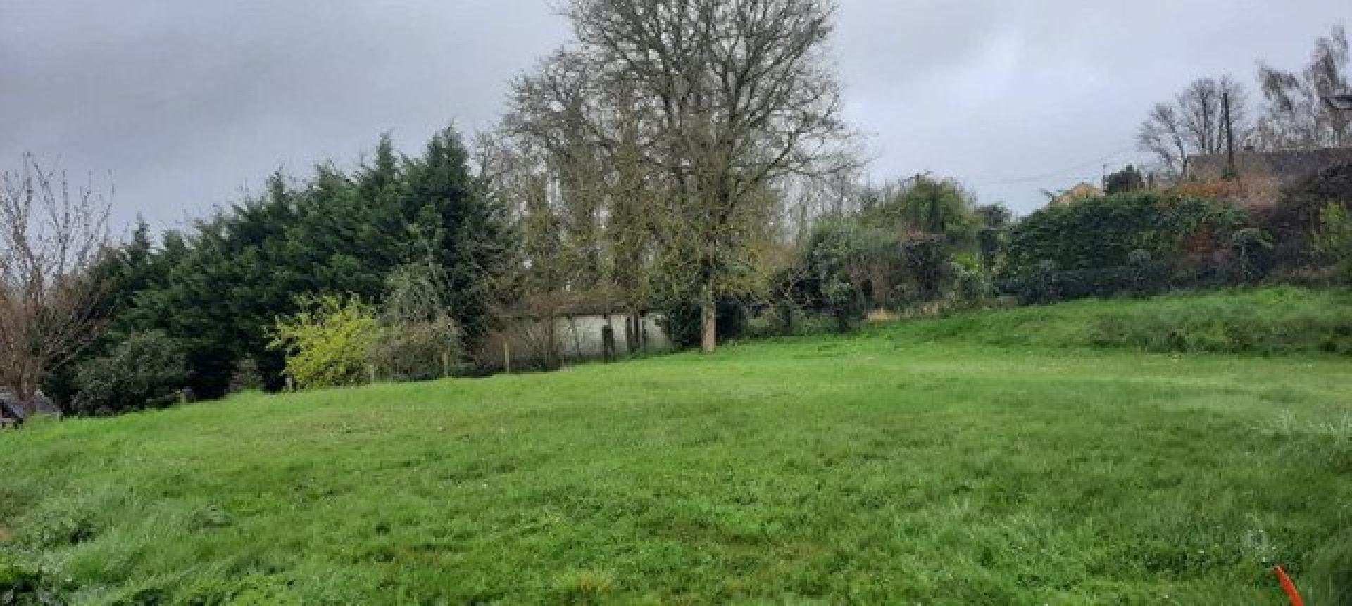 Miniature photo - 2 / 3