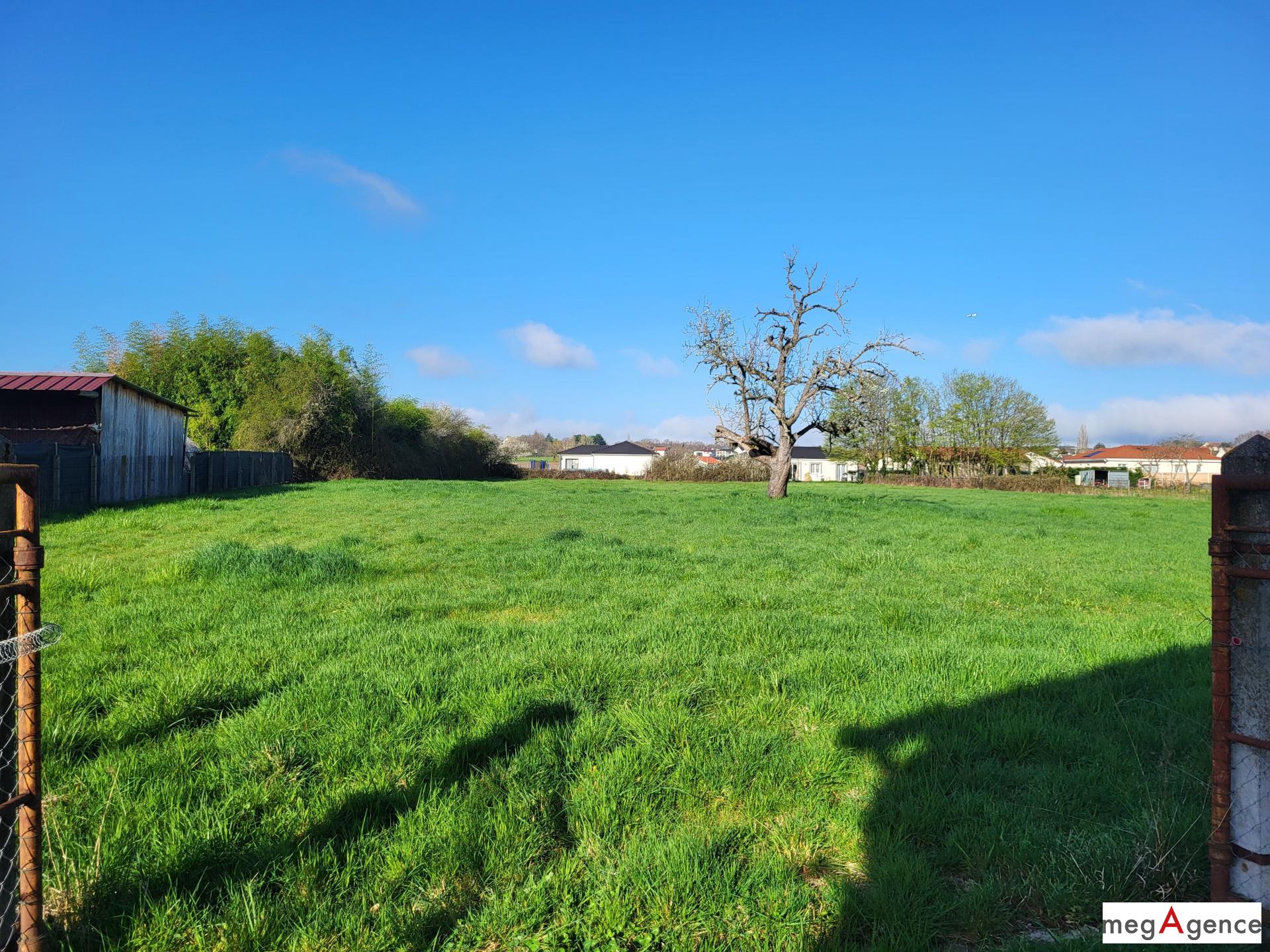 Miniature photo - 3 / 11