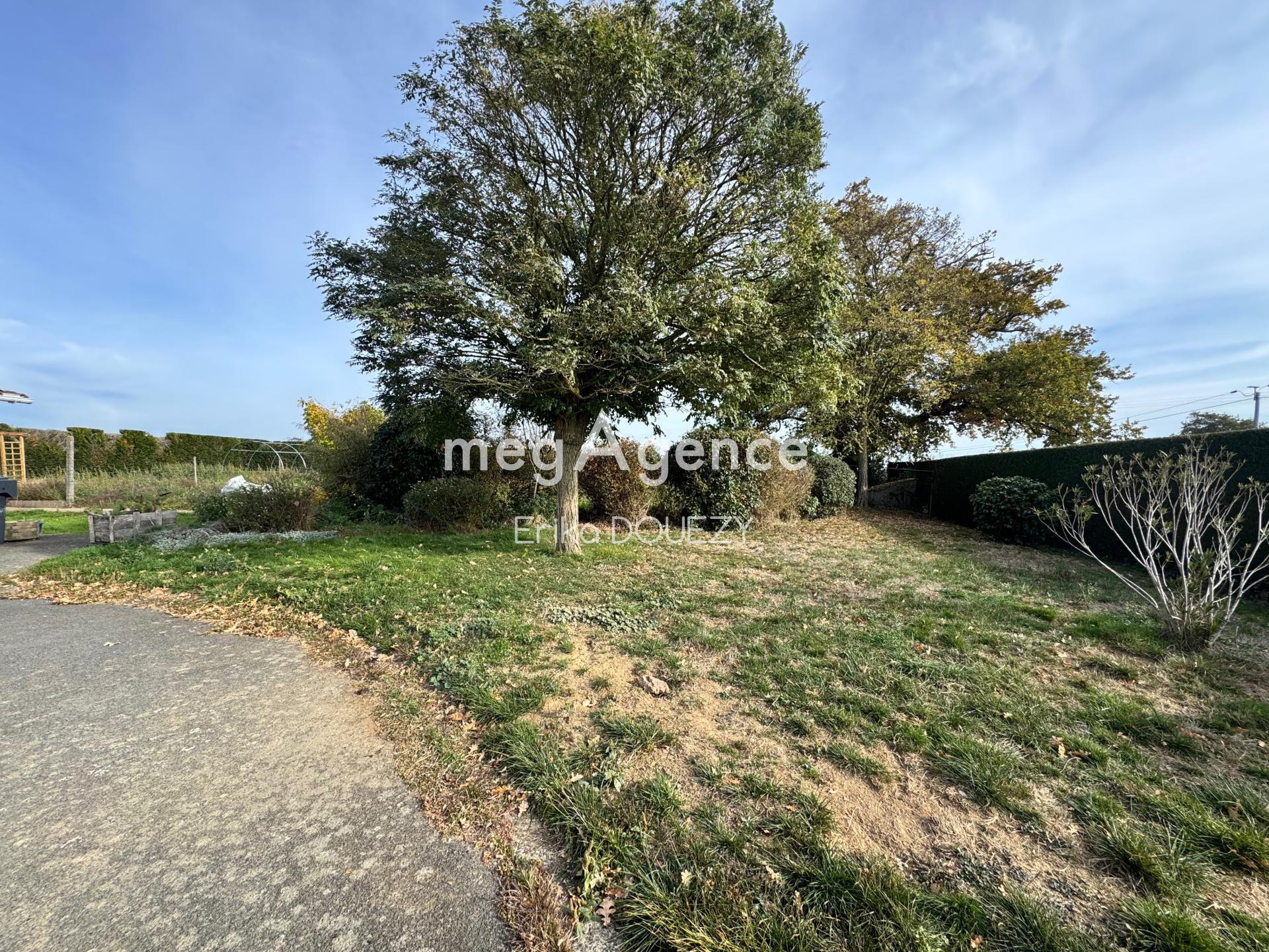 Miniature photo - 3 / 15