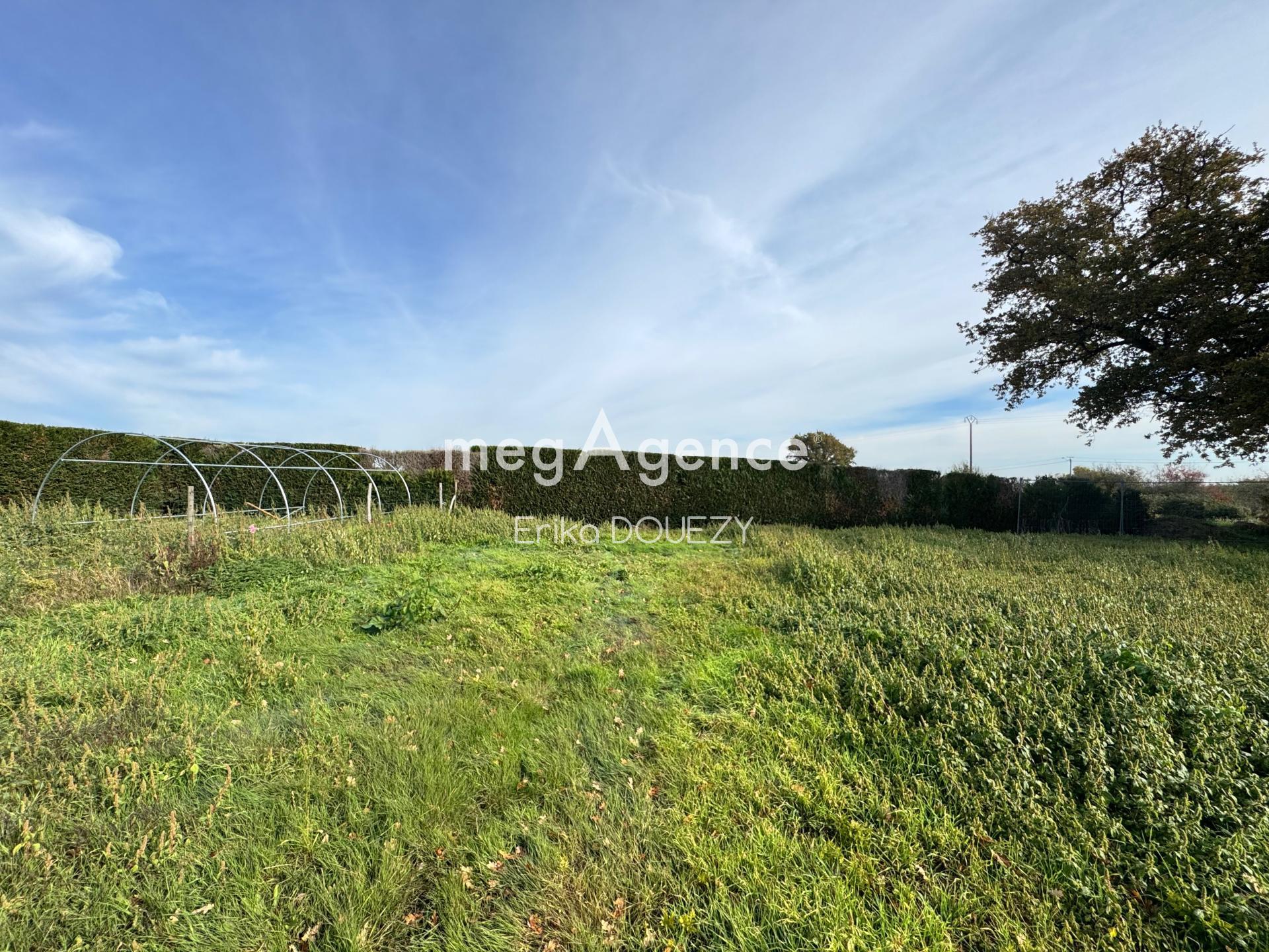 Miniature photo - 4 / 15