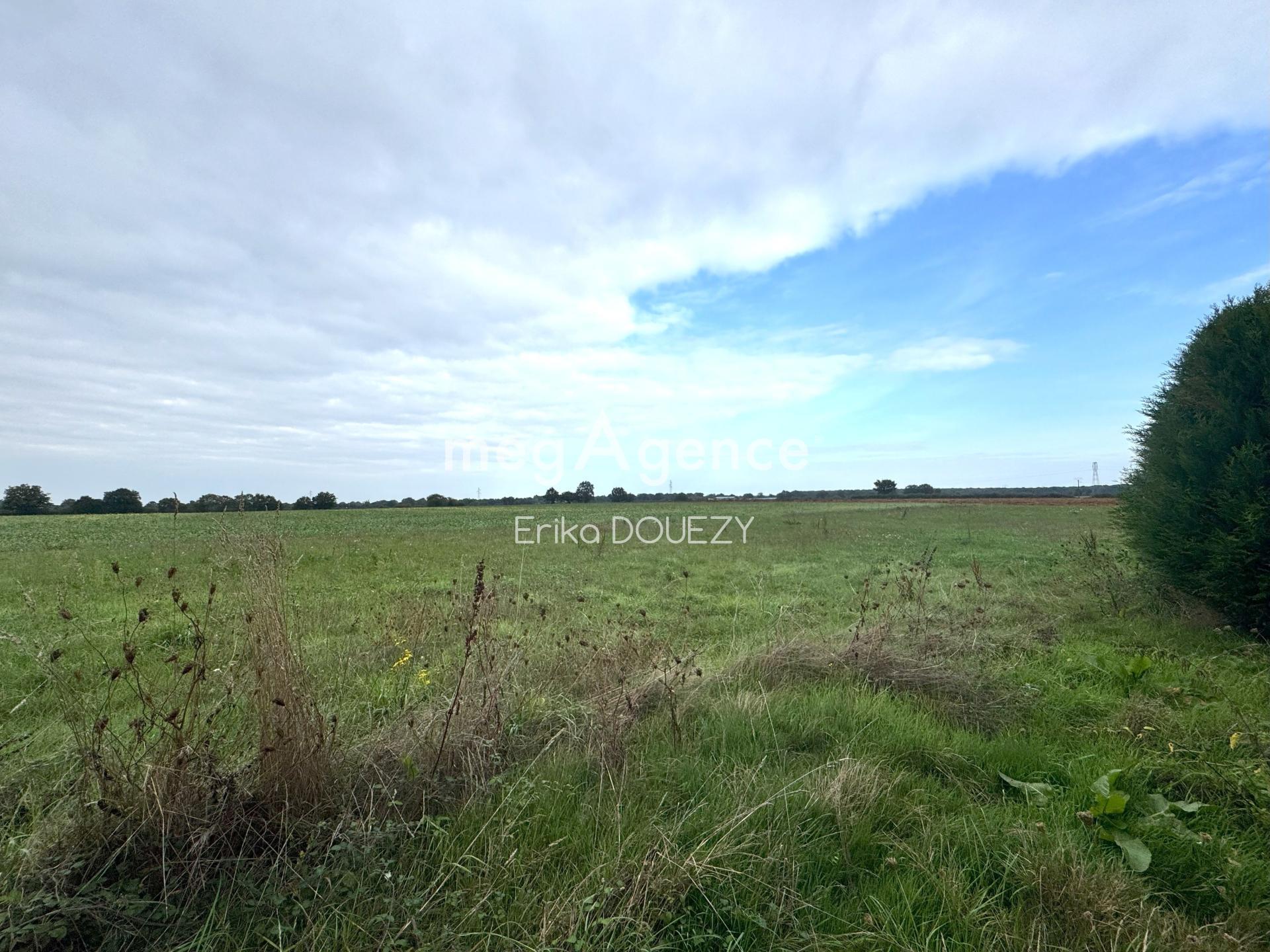 Miniature photo - 15 / 15