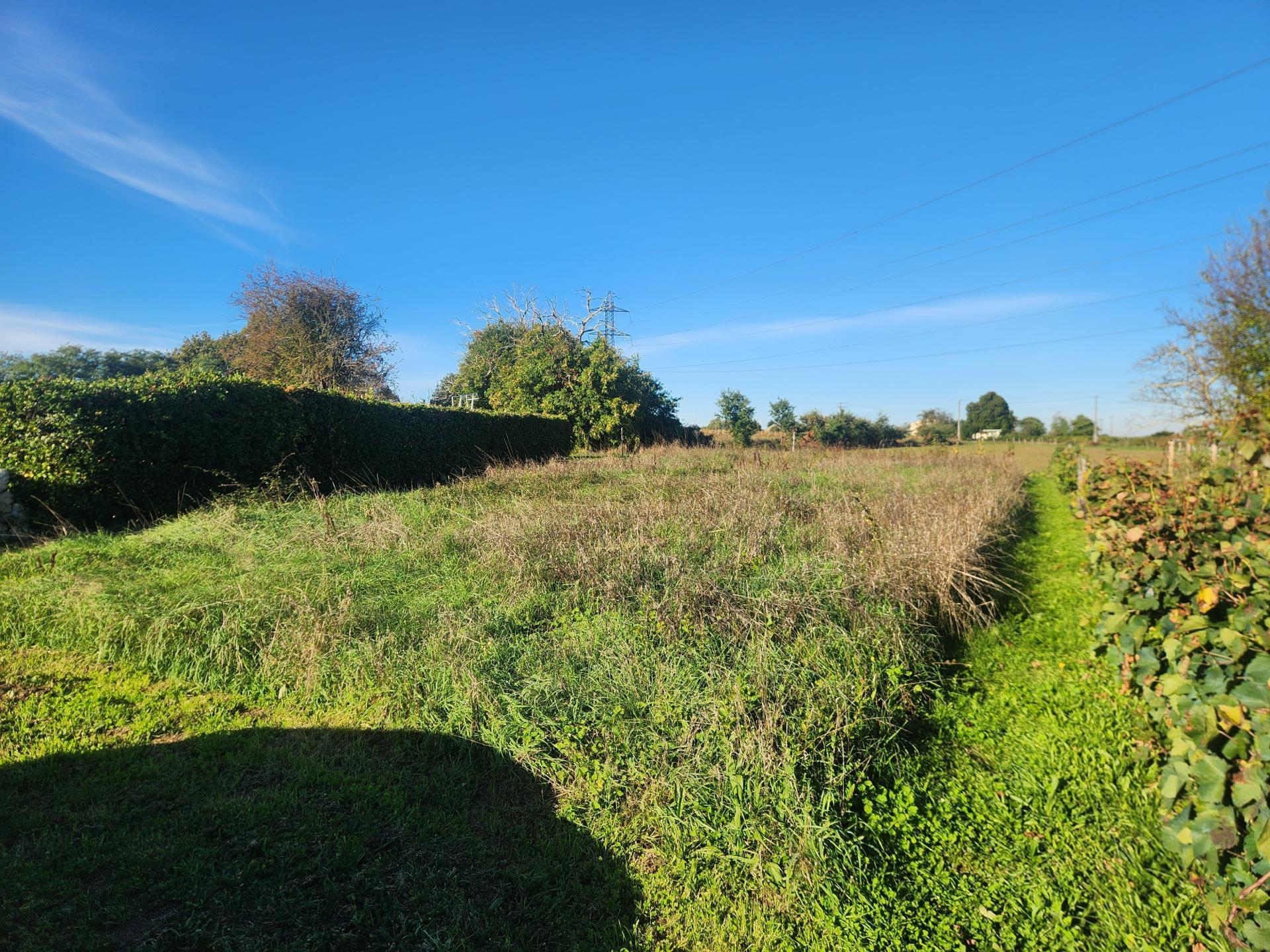 Miniature photo - 8 / 9