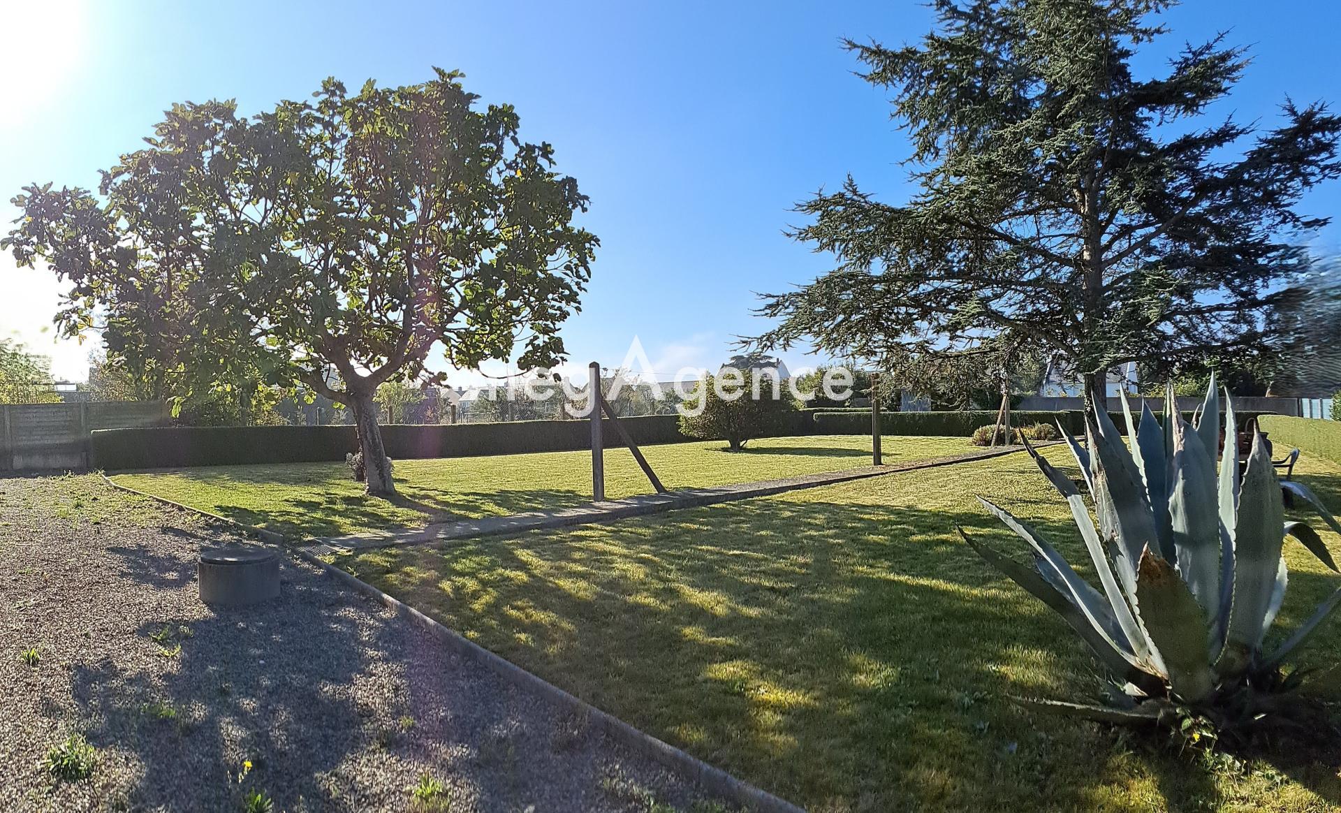 Miniature photo - 3 / 12