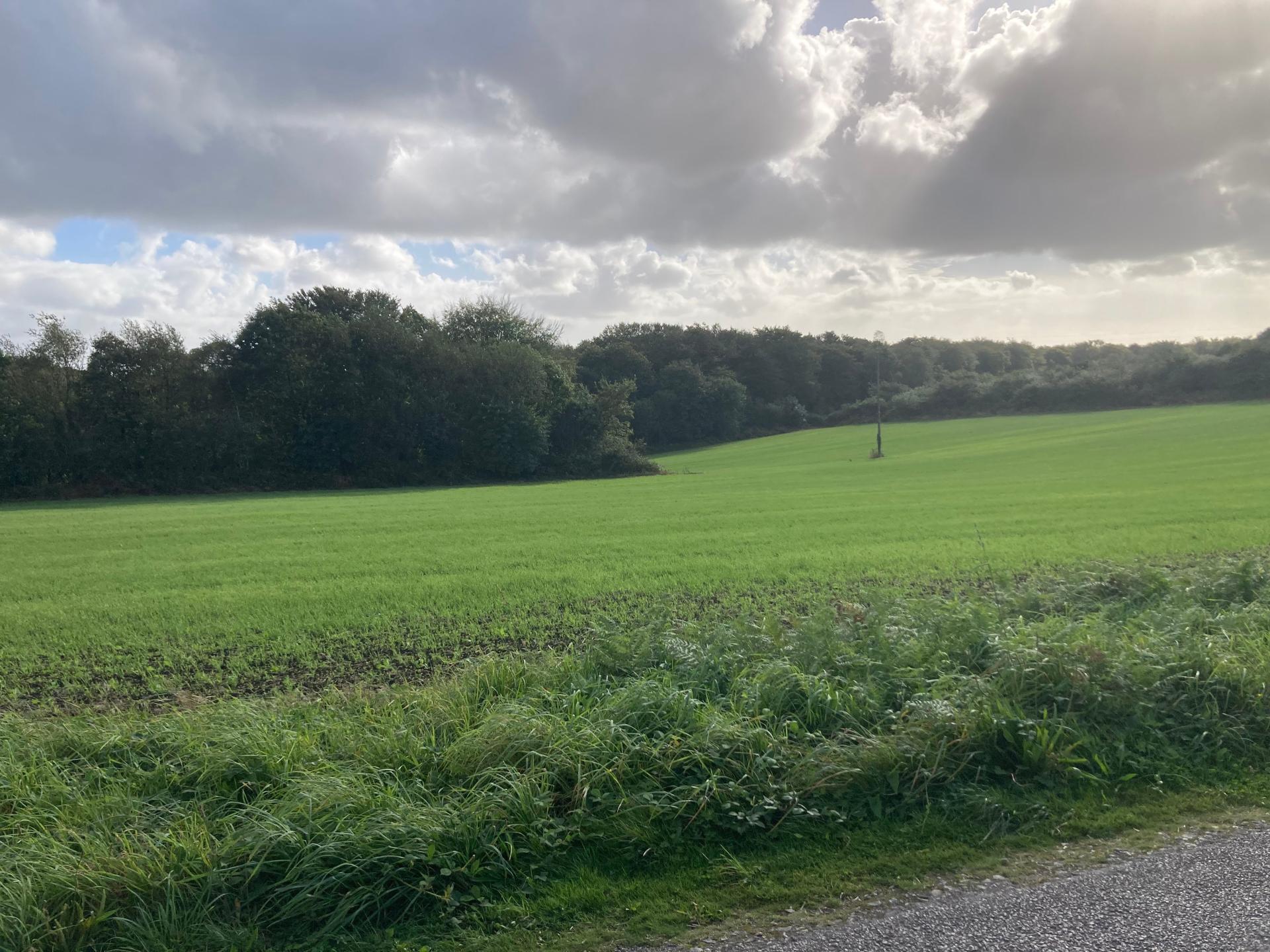 Photographie descriptive du bien