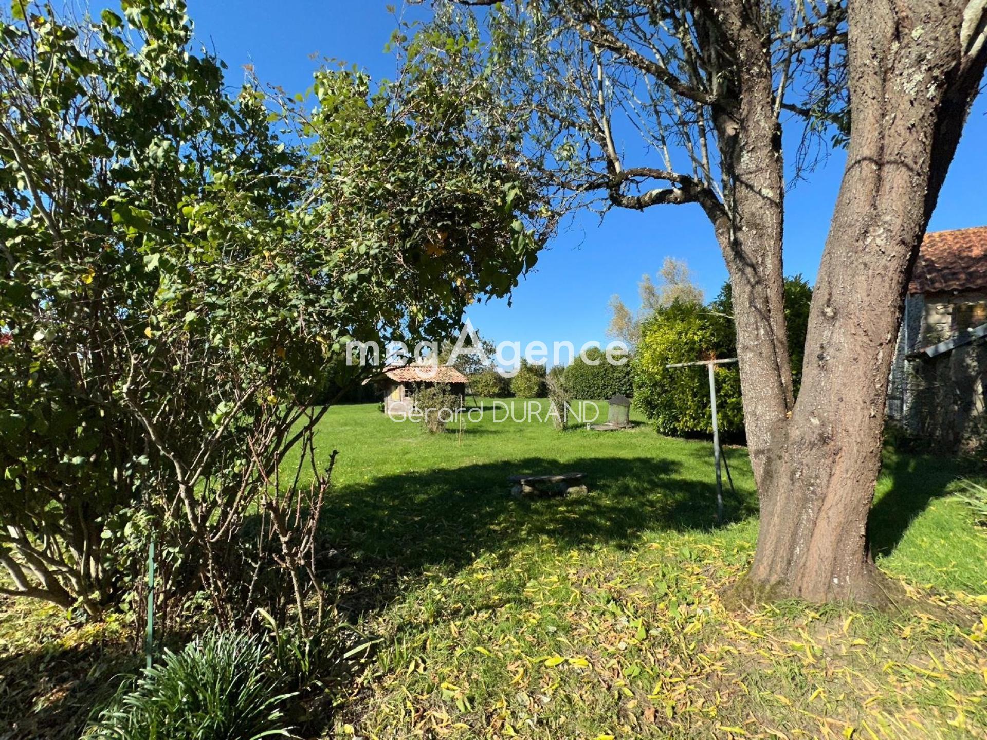 Miniature photo - 3 / 13