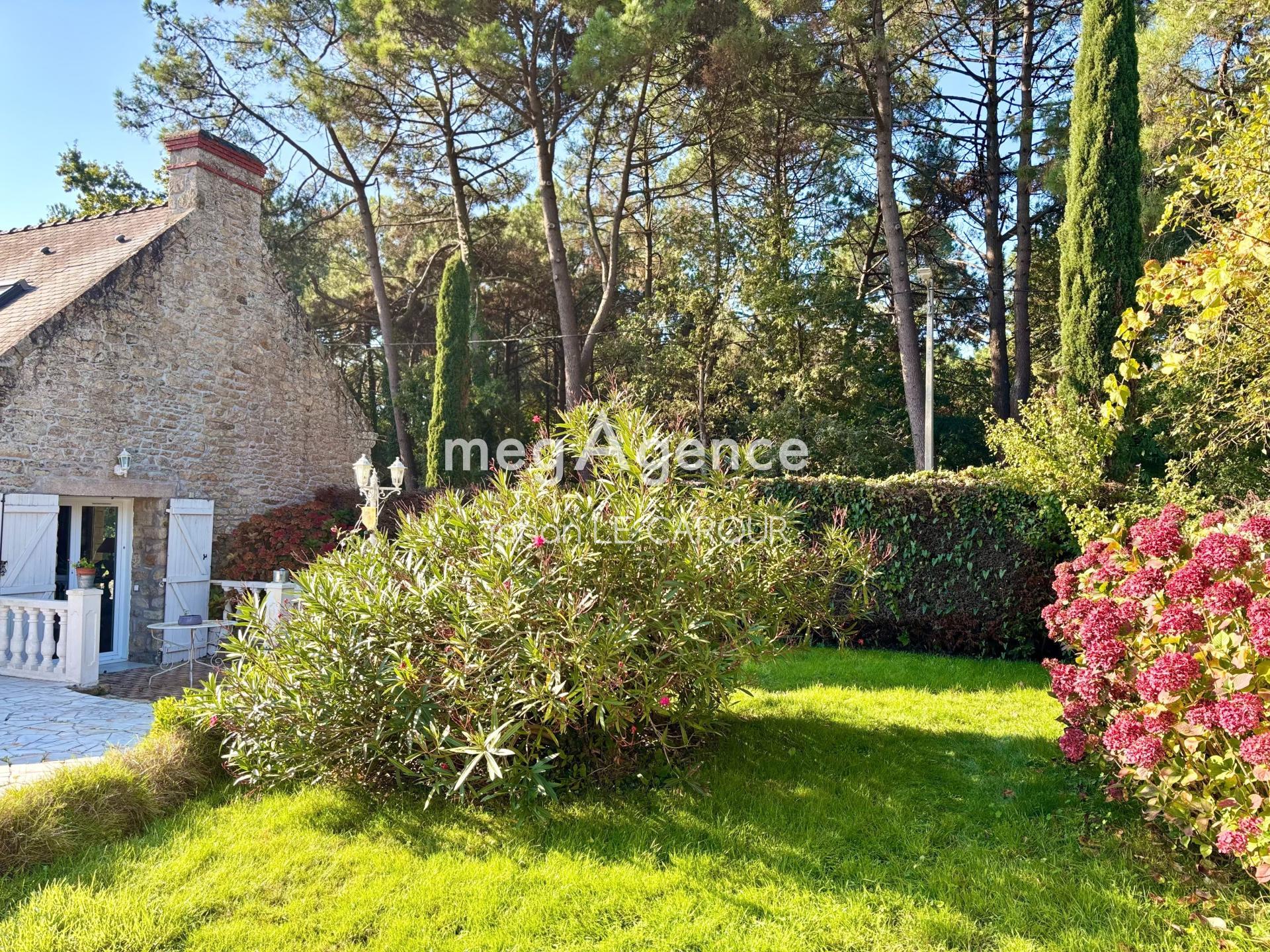 Miniature photo - 2 / 14