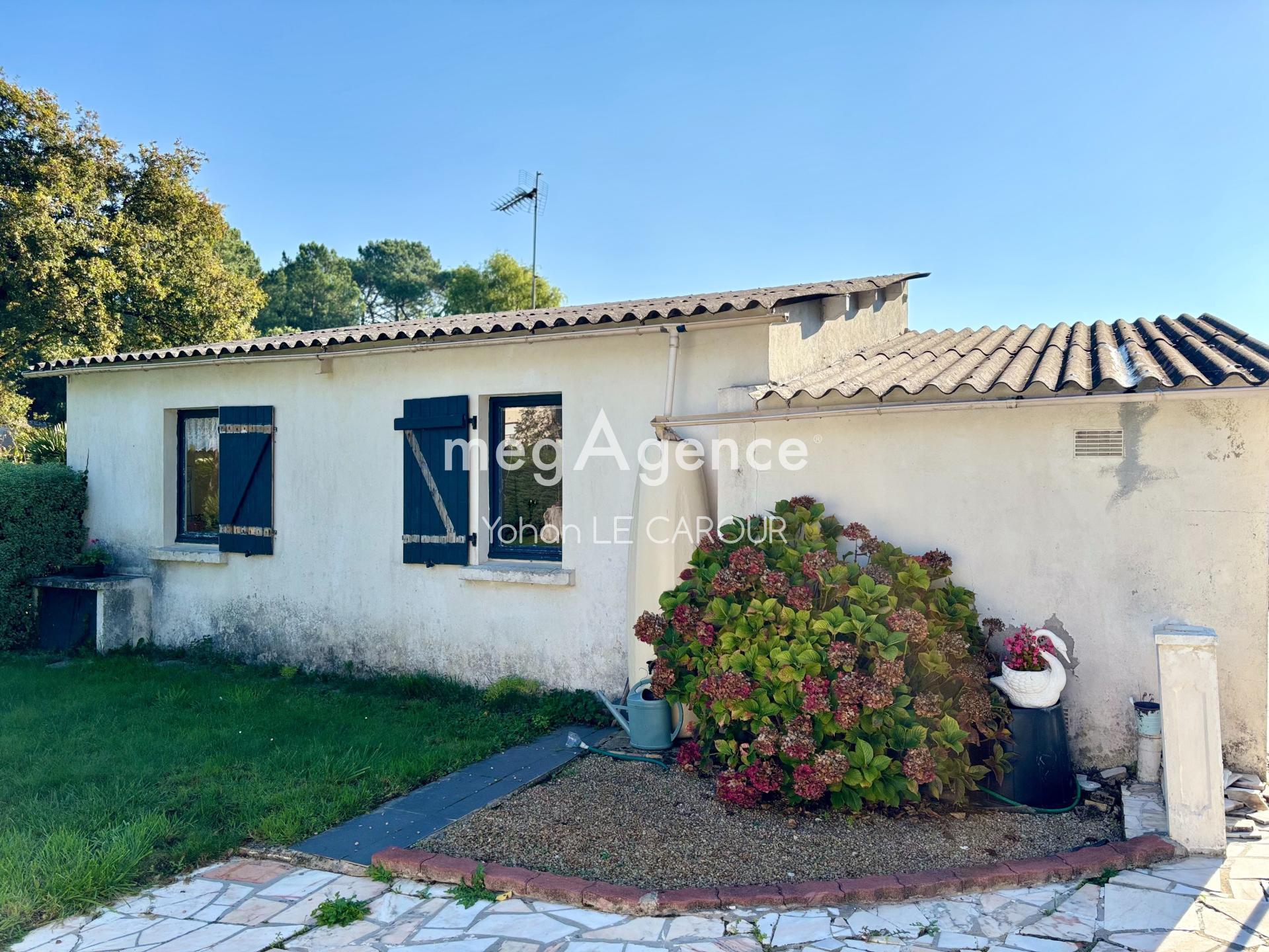 Miniature photo - 14 / 14