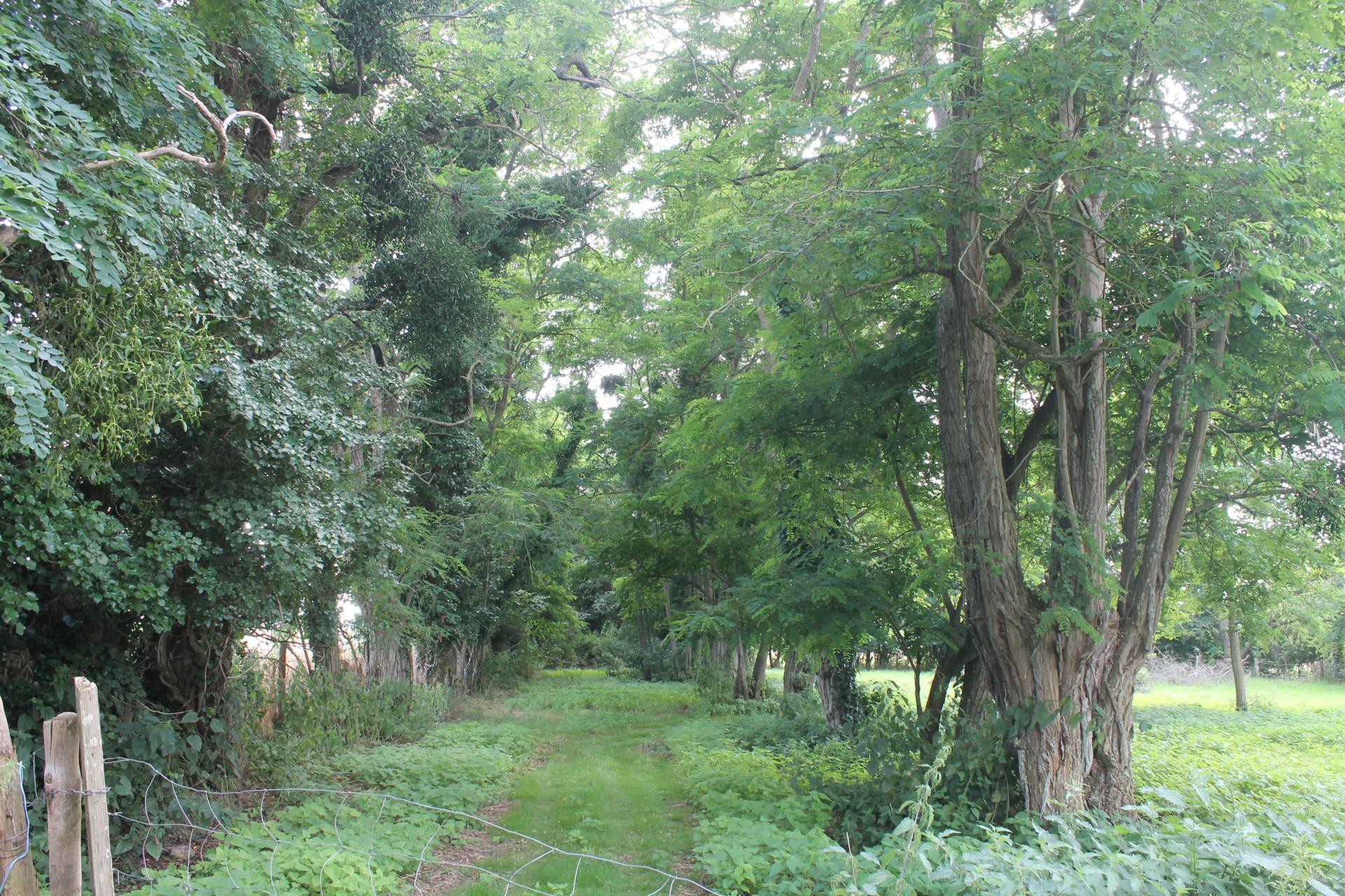 Miniature photo - 14 / 15