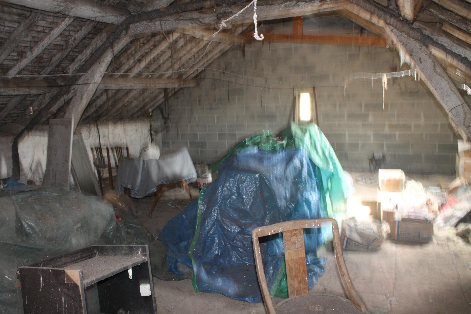 Miniature photo - 15 / 15