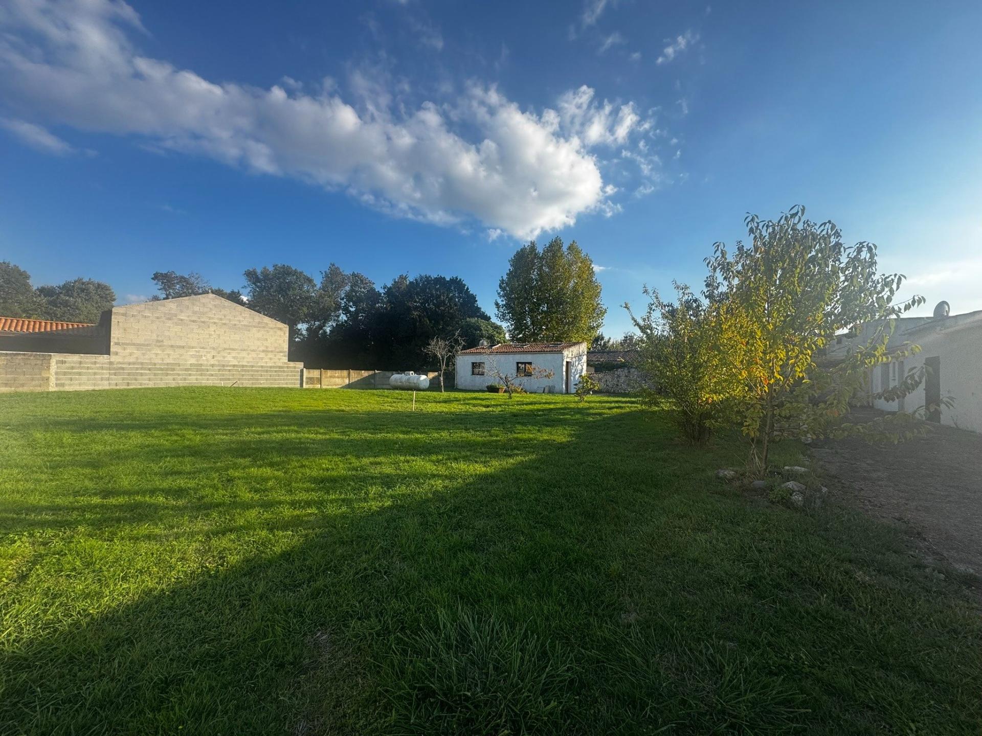 Miniature photo - 2 / 18