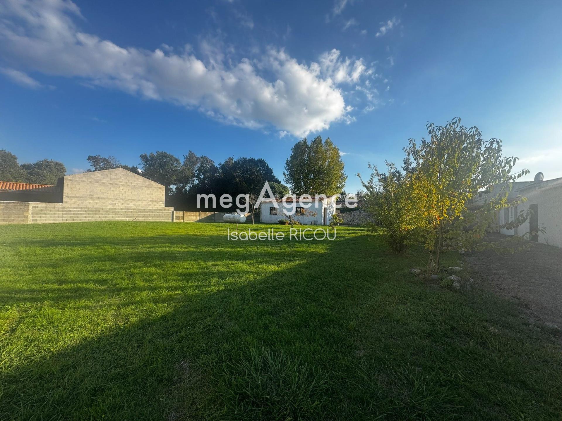 Miniature photo - 2 / 18