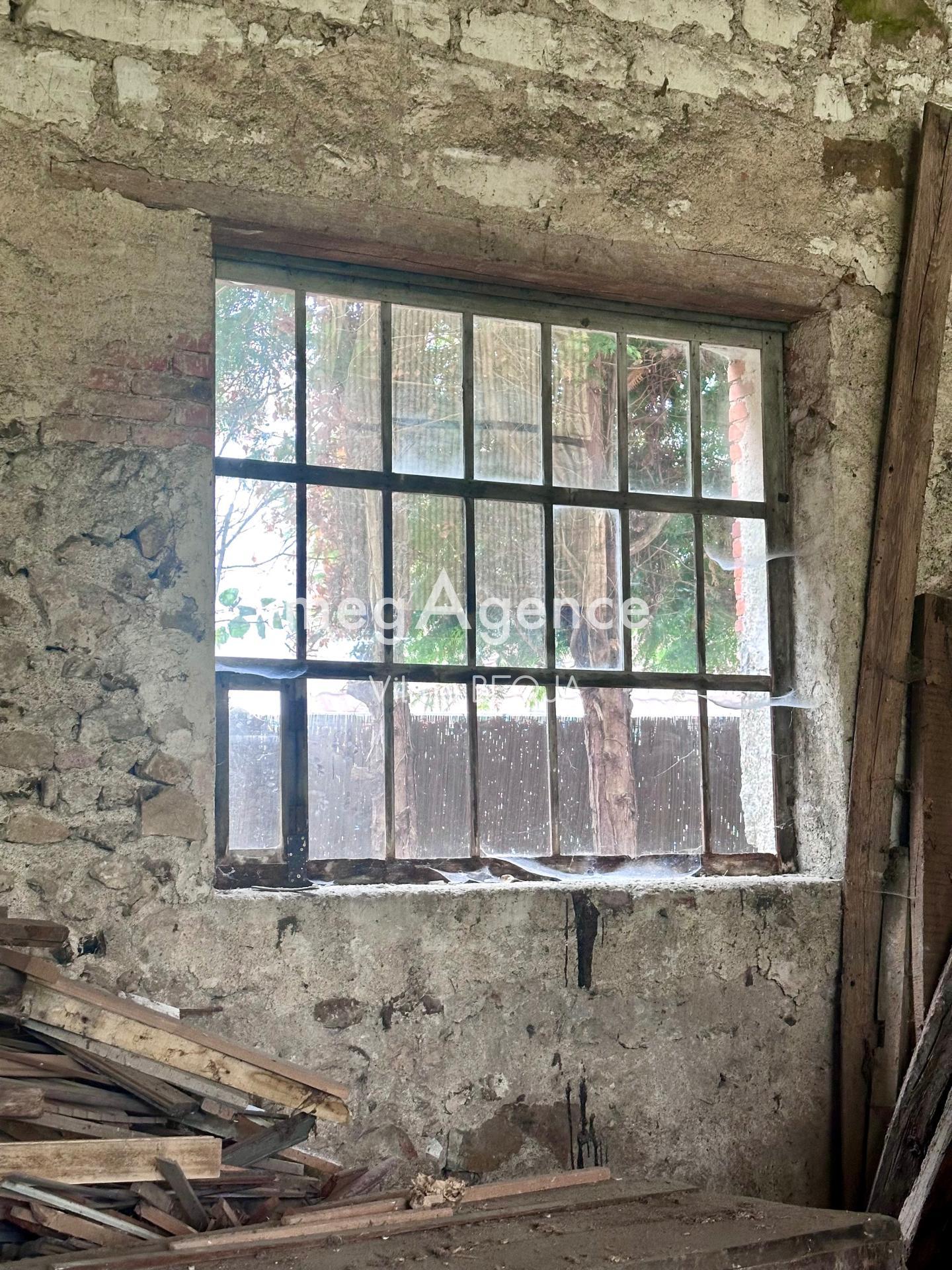 Miniature photo - 12 / 17