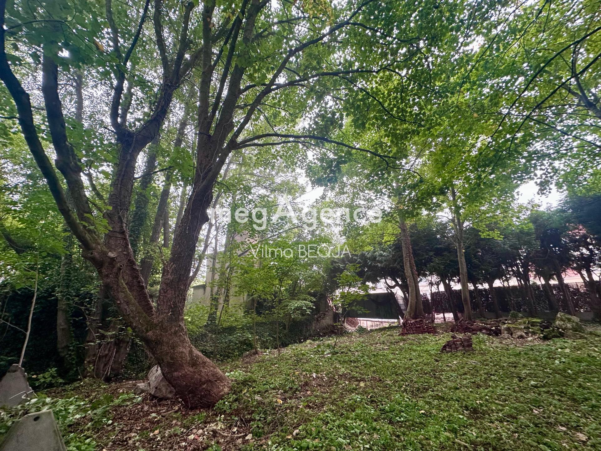 Miniature photo - 6 / 17