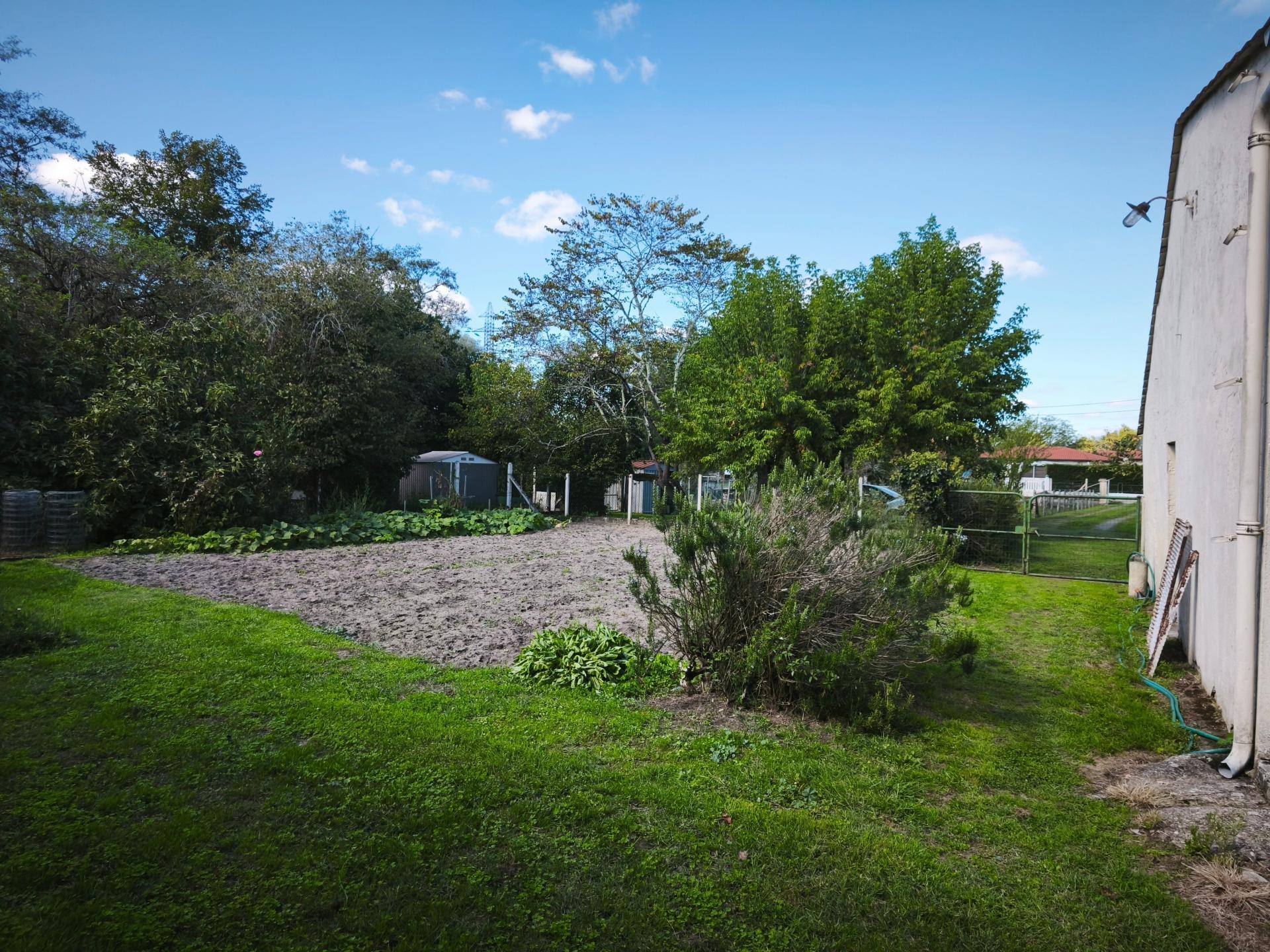 Miniature photo - 2 / 7